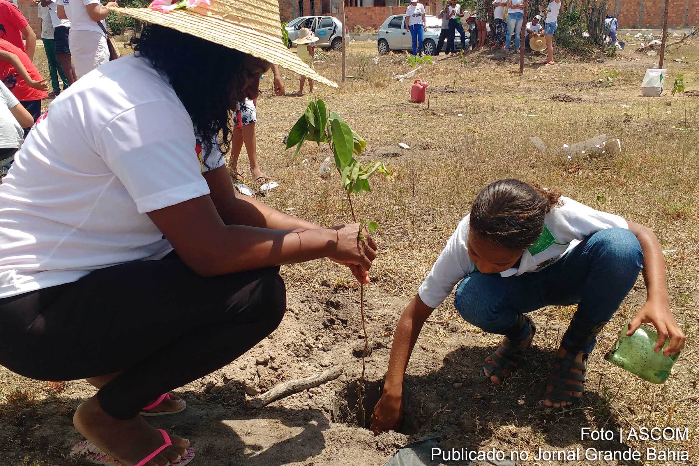 Feira de Santana: Embasa inicia reabilitação da mata ciliar na Lagoa do Subaé