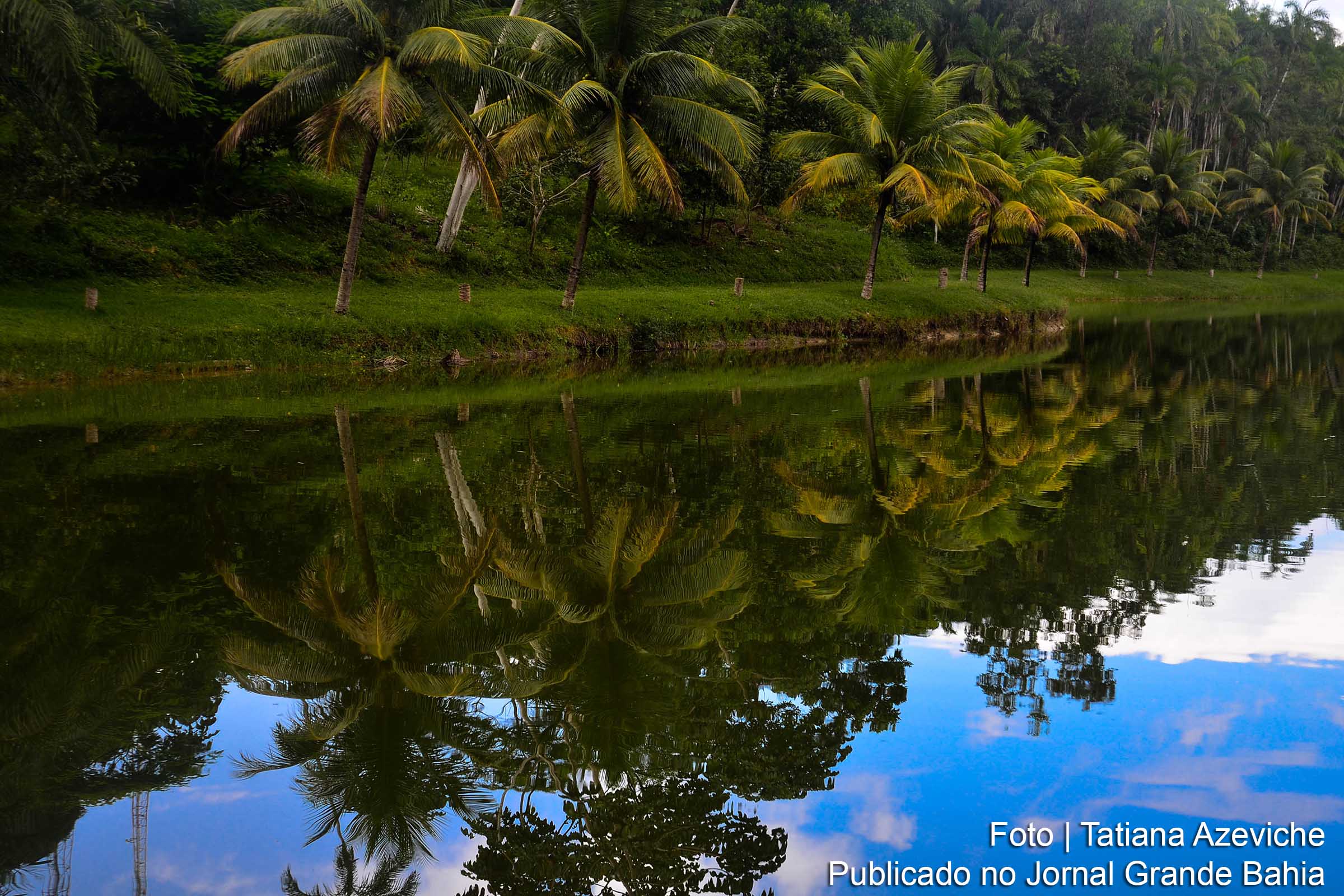 Ecoparque Sauípe, Costa dos Coqueiros, Mata de São João.