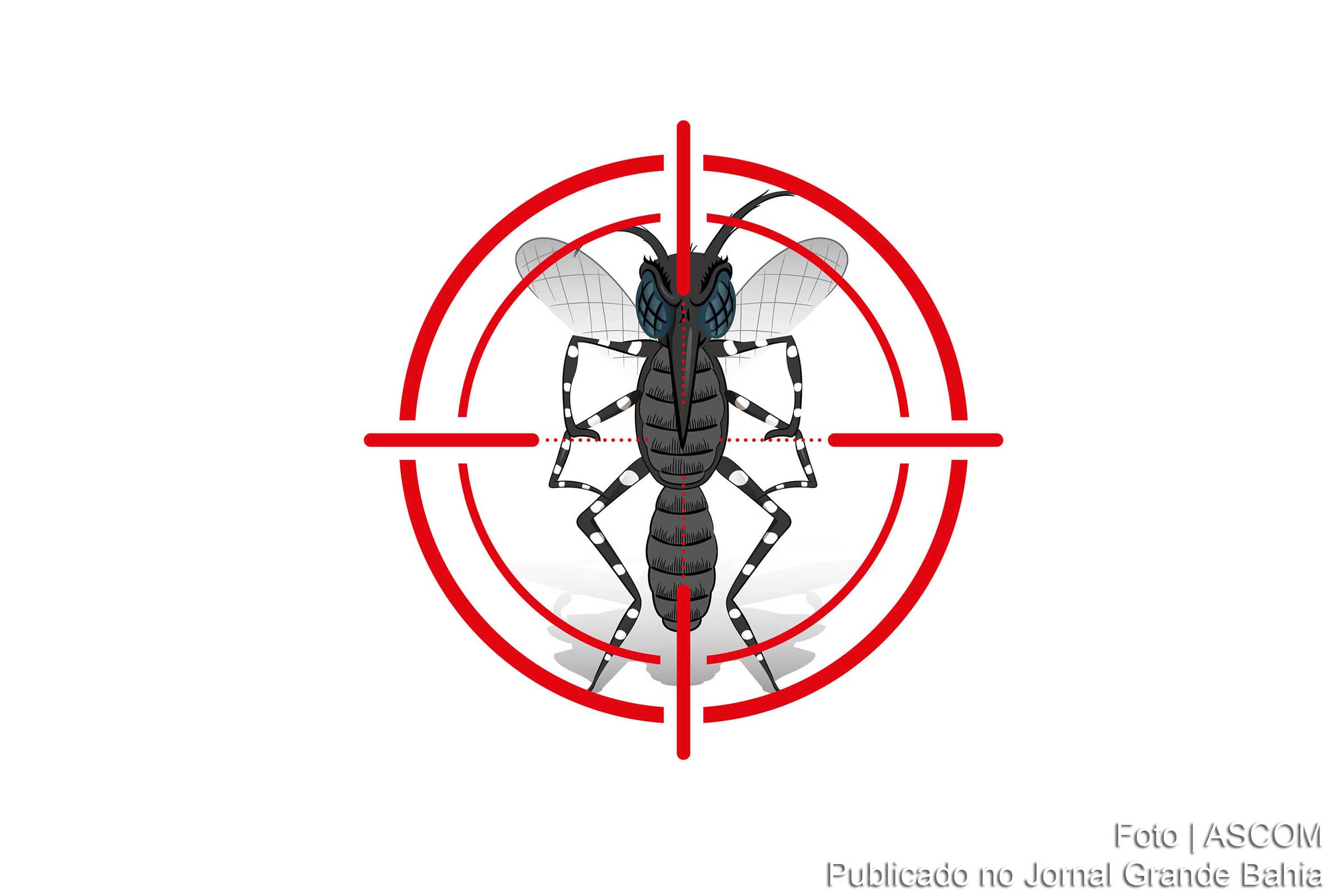 Estratégia de controle da febre amarela é debatida.