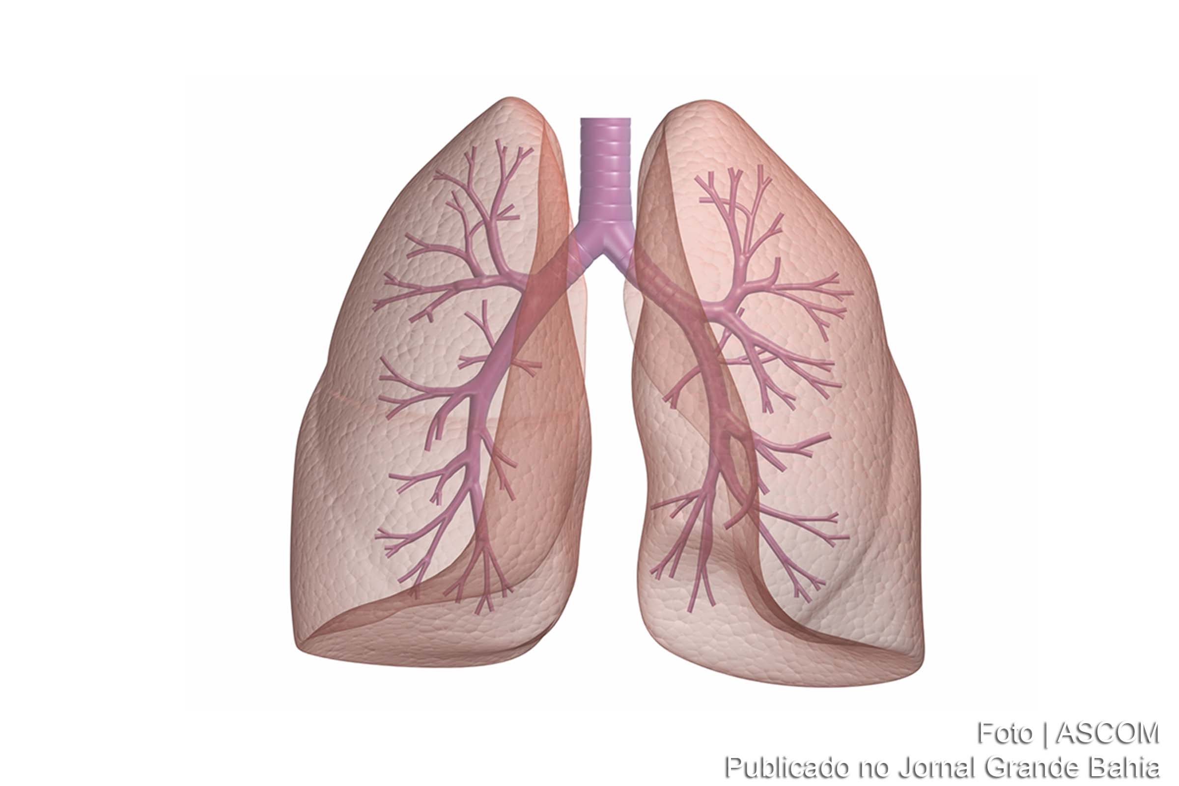 Pesquisadores de Milão promovem debate sobre controle da tuberculose.