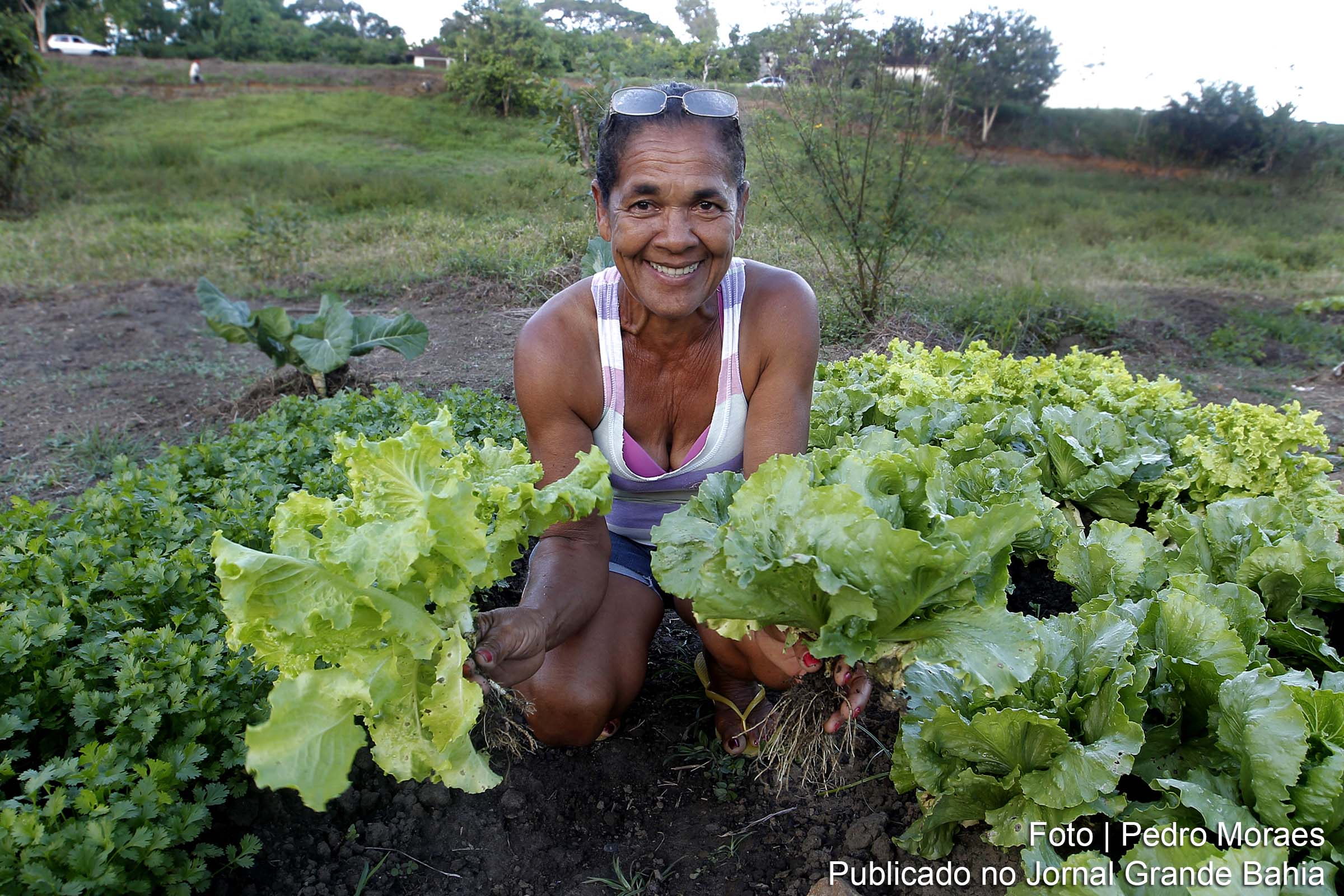 Agricultura familiar é incentivada pelo governo Rui Costa.