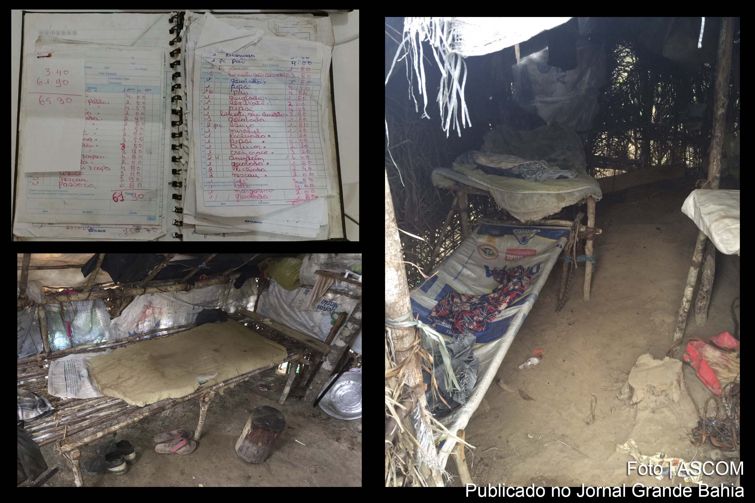 A fazenda de propriedade de Amarílio Souza Santos e Thiago Cerqueira Santos cortava mata nativa para produção clandestina de carvão.