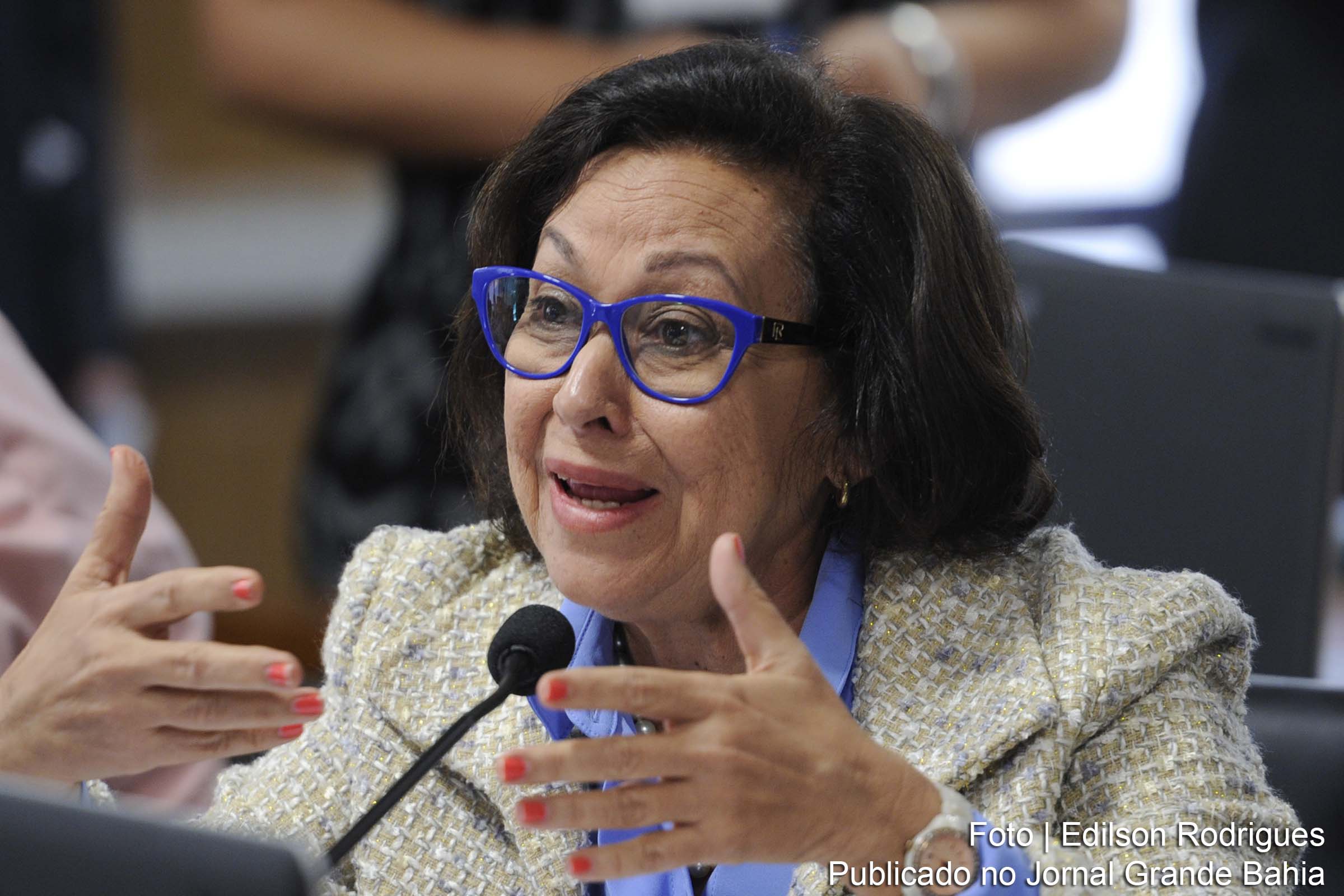 Lídice da Mata: eu não posso deixar de dizer que para mim esse relatório foi uma surpresa. pois não relata nada, me perdoem.