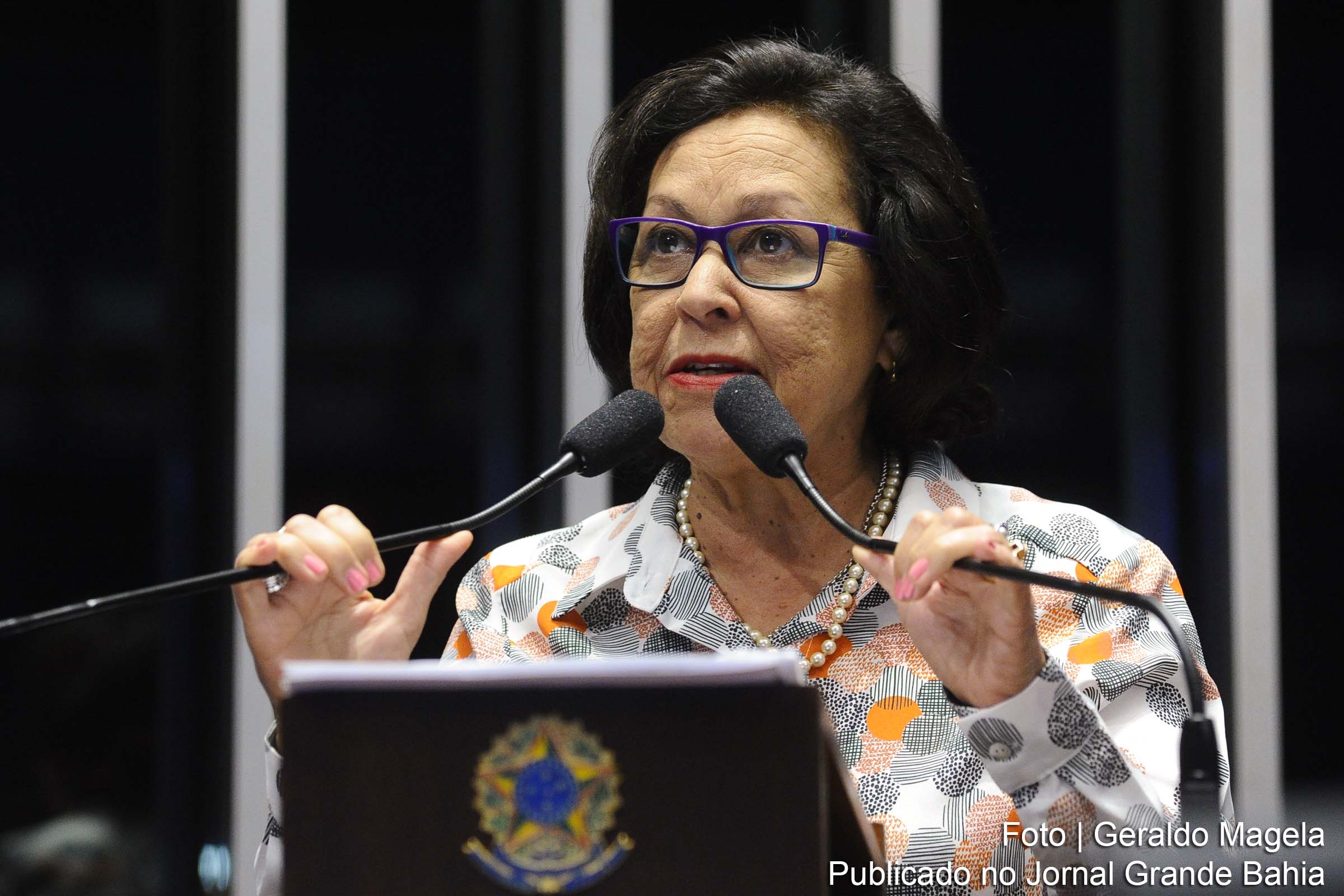 A senadora Lídice da Mata (PSB-BA) anunciou em Plenário que participará, ao lado do povo, da greve geral.