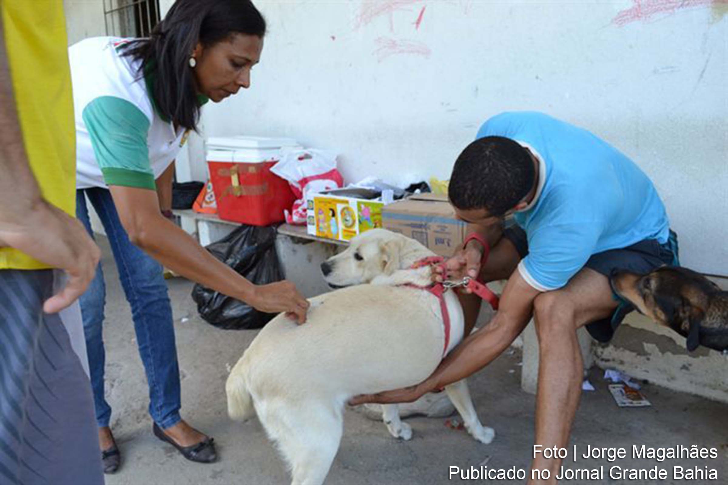 Centro Municipal de Controle de Zoonoses de Feira de Santana segue cronograma de vacinação contra a raiva animal.