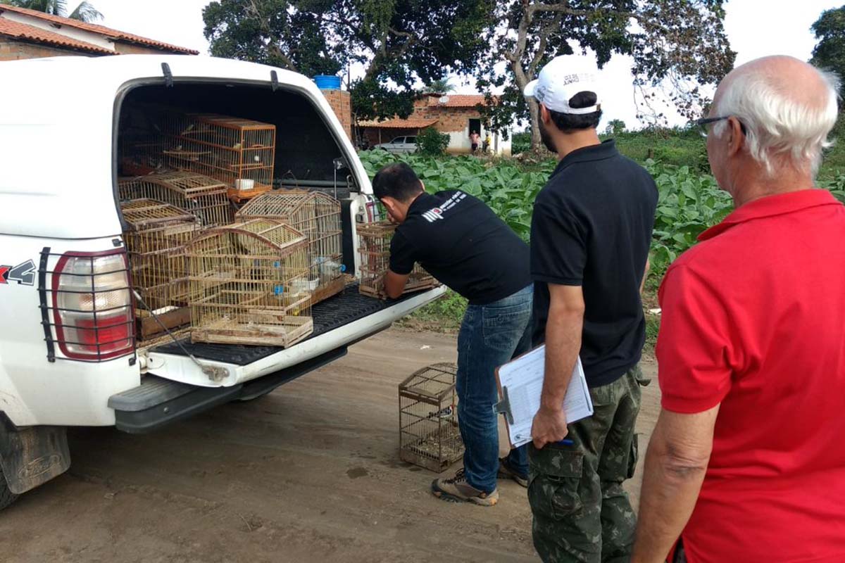 3ª Etapa da Fiscalização Preventiva Integrada (FPI) ocorreu no Recôncavo da Bahia.