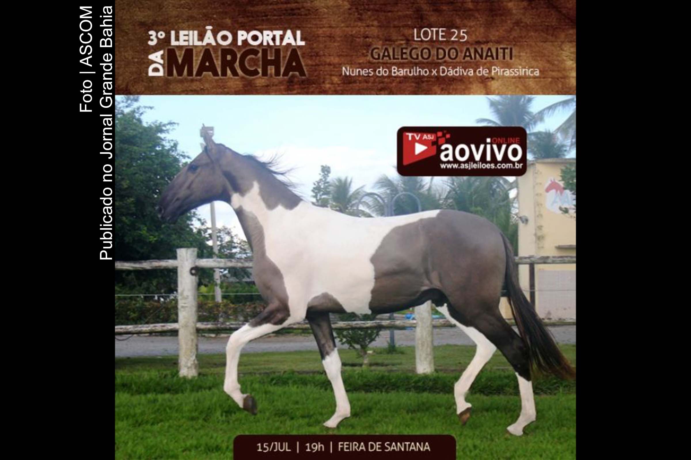 Cartaz anuncia o IV Leilão Portal da Marcha.