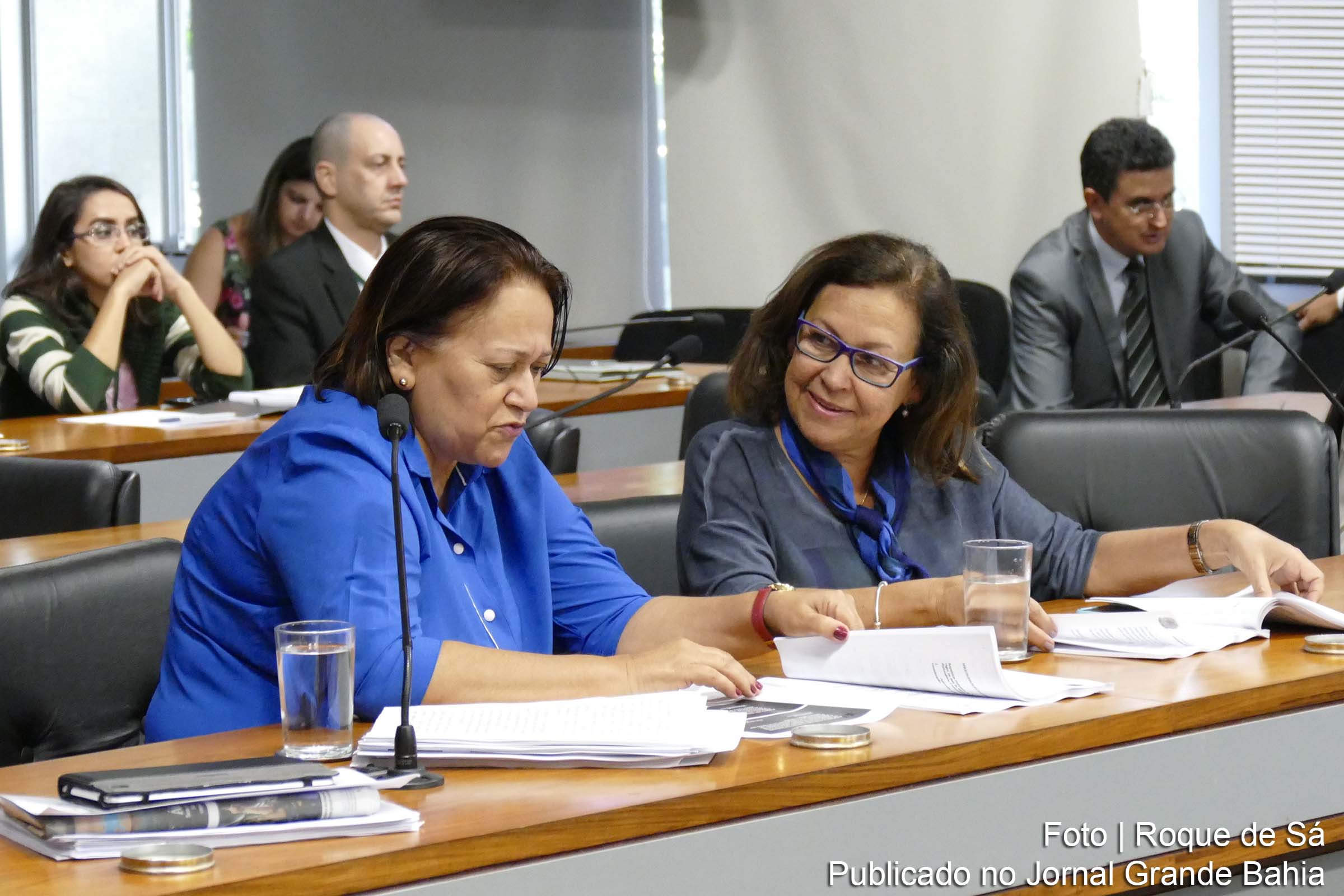 A iniciativa do Ciclo de Debates sobre a importância do Fundo de Desenvolvimento da Educação Básica é das senadoras Fátima Bezerra (PT-RN) e Lídice da Mata (PSB-BA).