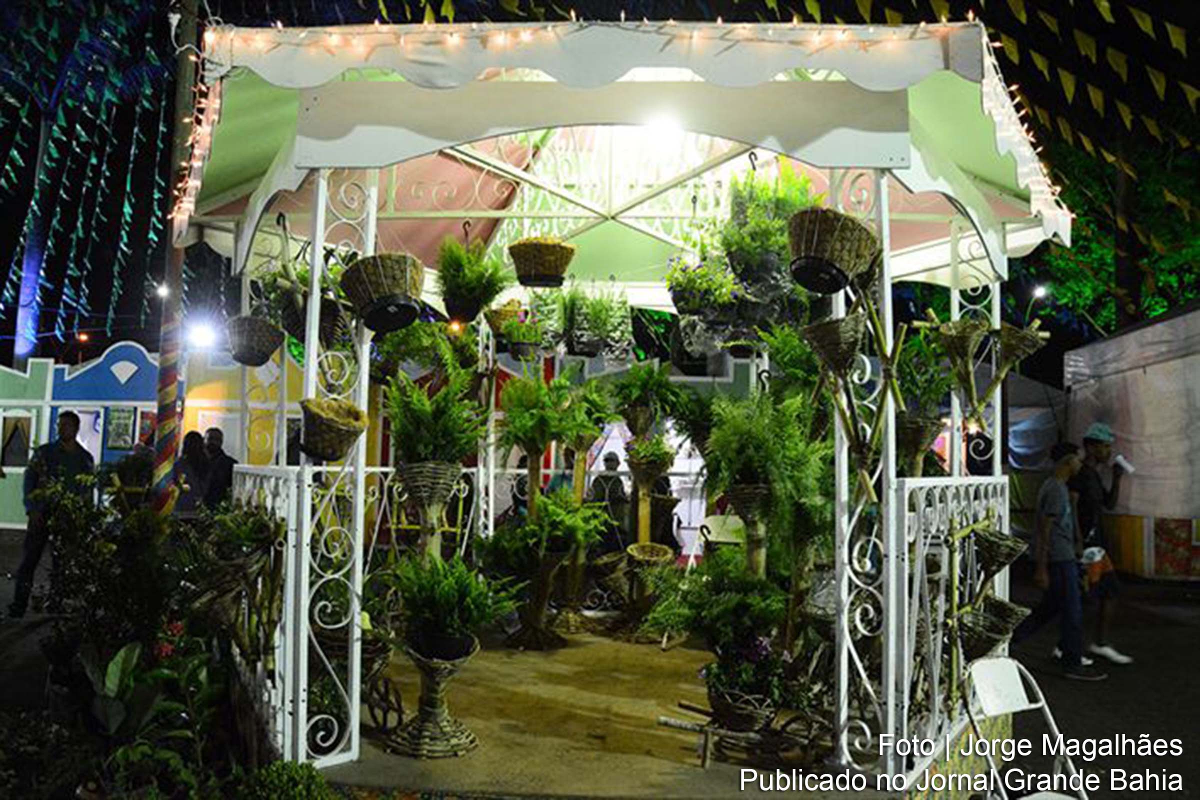 Mini hortos em exposição no Caminho da Roça 42ª Expofeira.