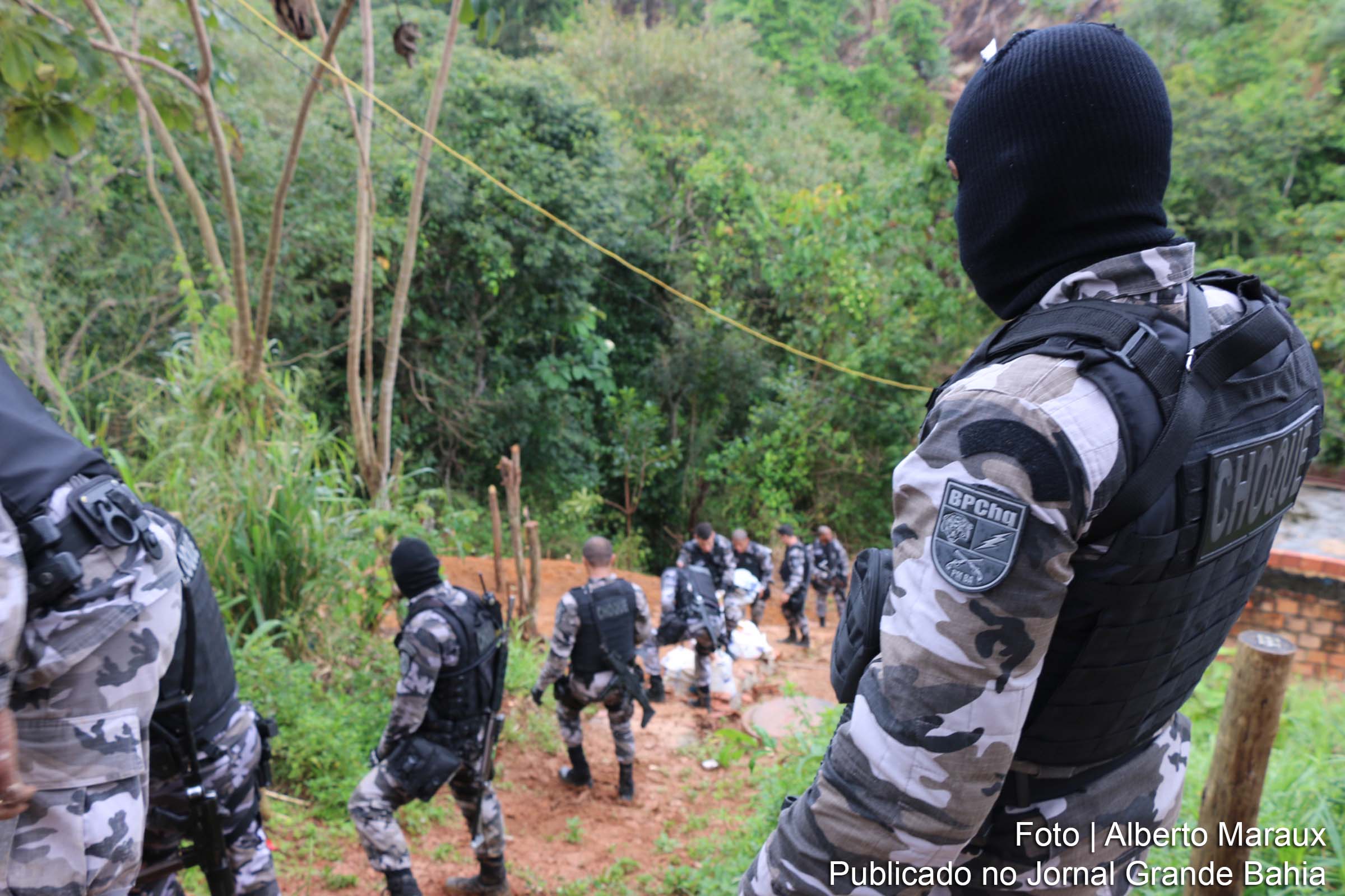 Polícia baiana apreende 4 toneladas de maconha.