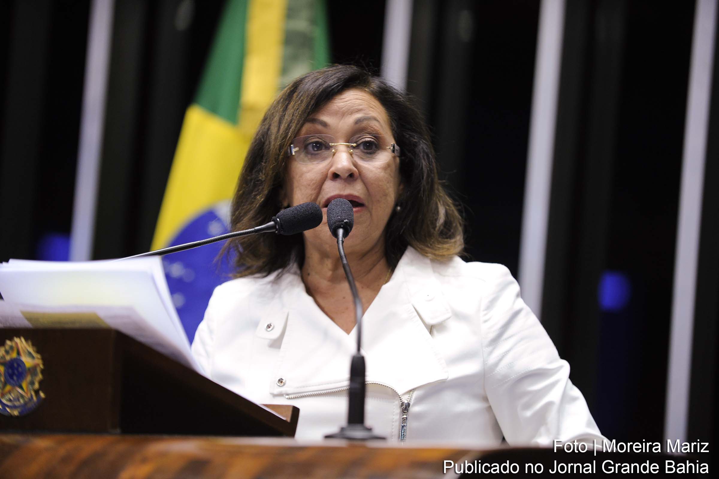 Senadora Lídice da Mata alertou para as demissões em massa no setor público, com a subsequente perda da qualidade dos serviços nas cidades de pequeno e médio porte.