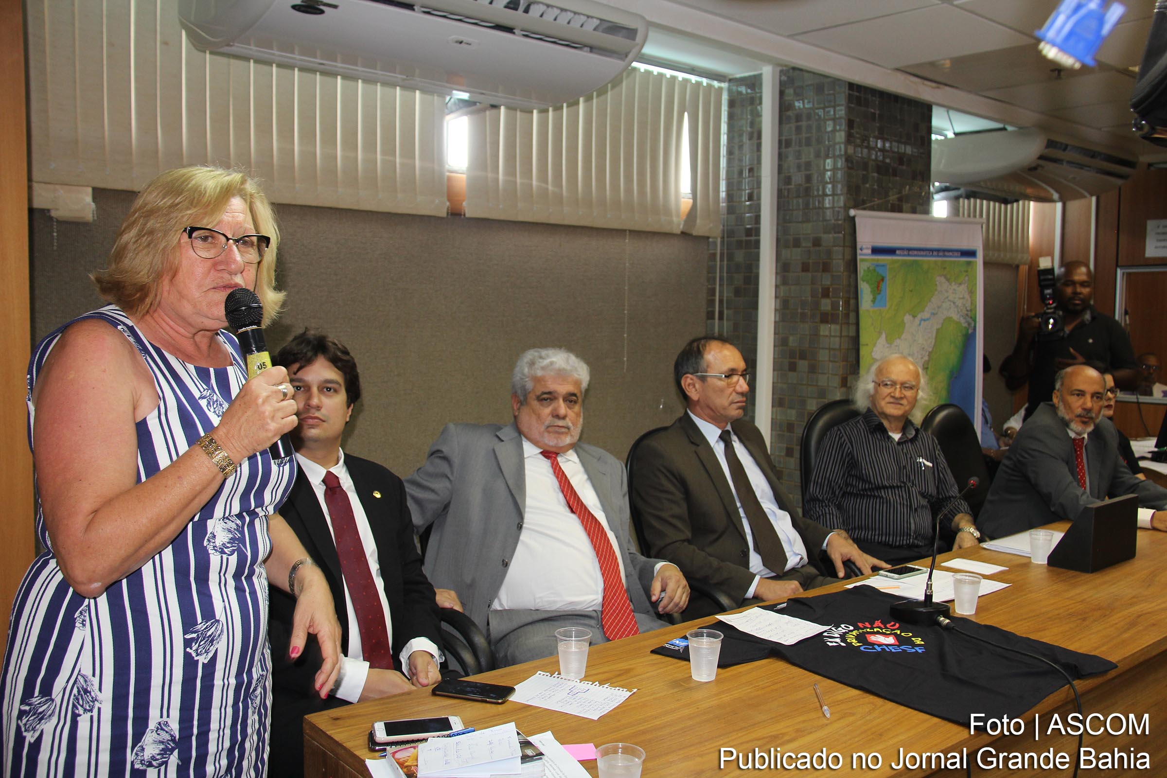 A deputada Maria del Carmen sugeriu que cada cidadão que se sinta prejudicado entre com uma ação popular contra a privatização. Ideia é paralisar o processo iniciado pelo Governo Temer.