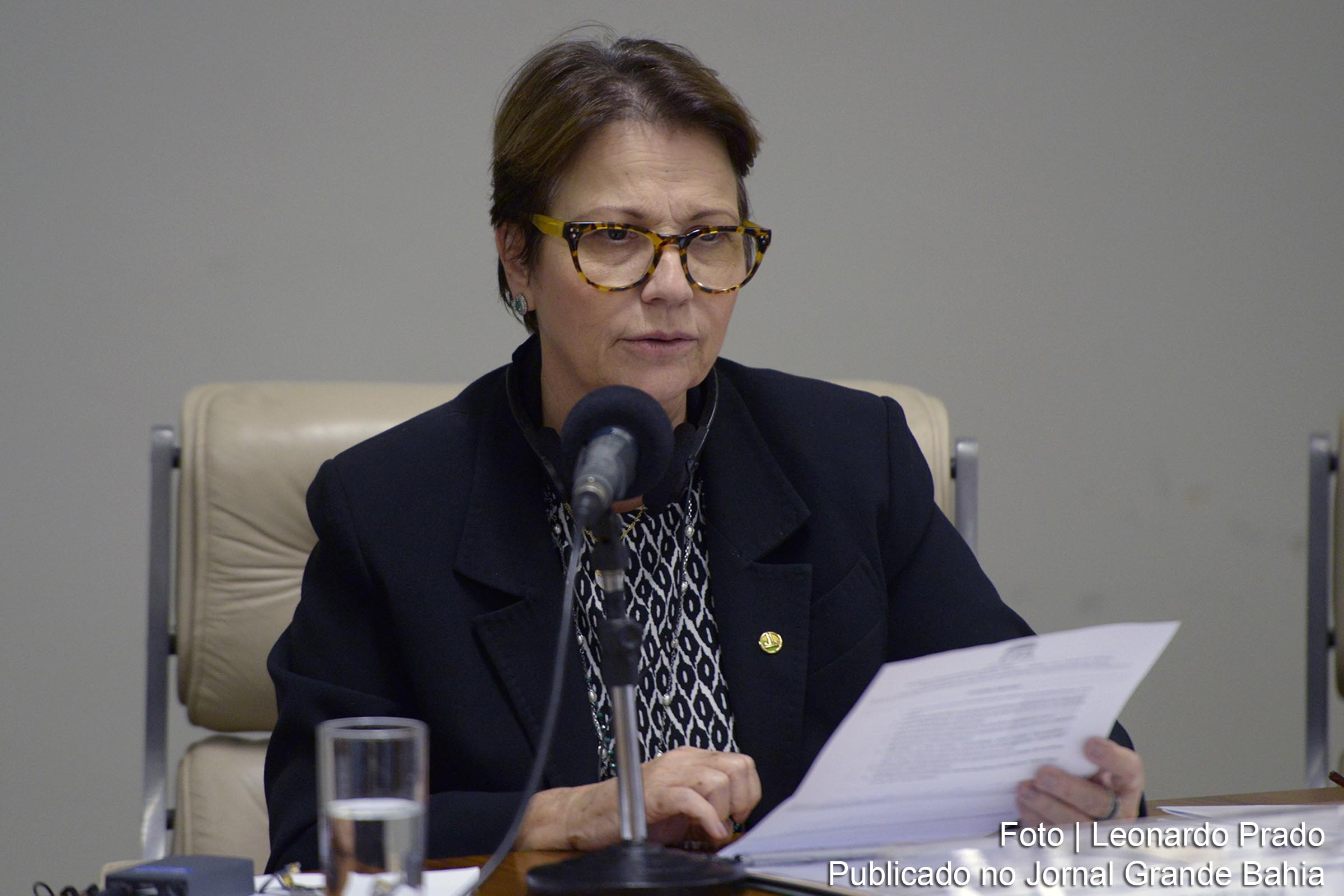 Executiva nacional do PSDB cobra saída da deputada Tereza Cristina Corrêa da Costa Dias da liderança do partido.