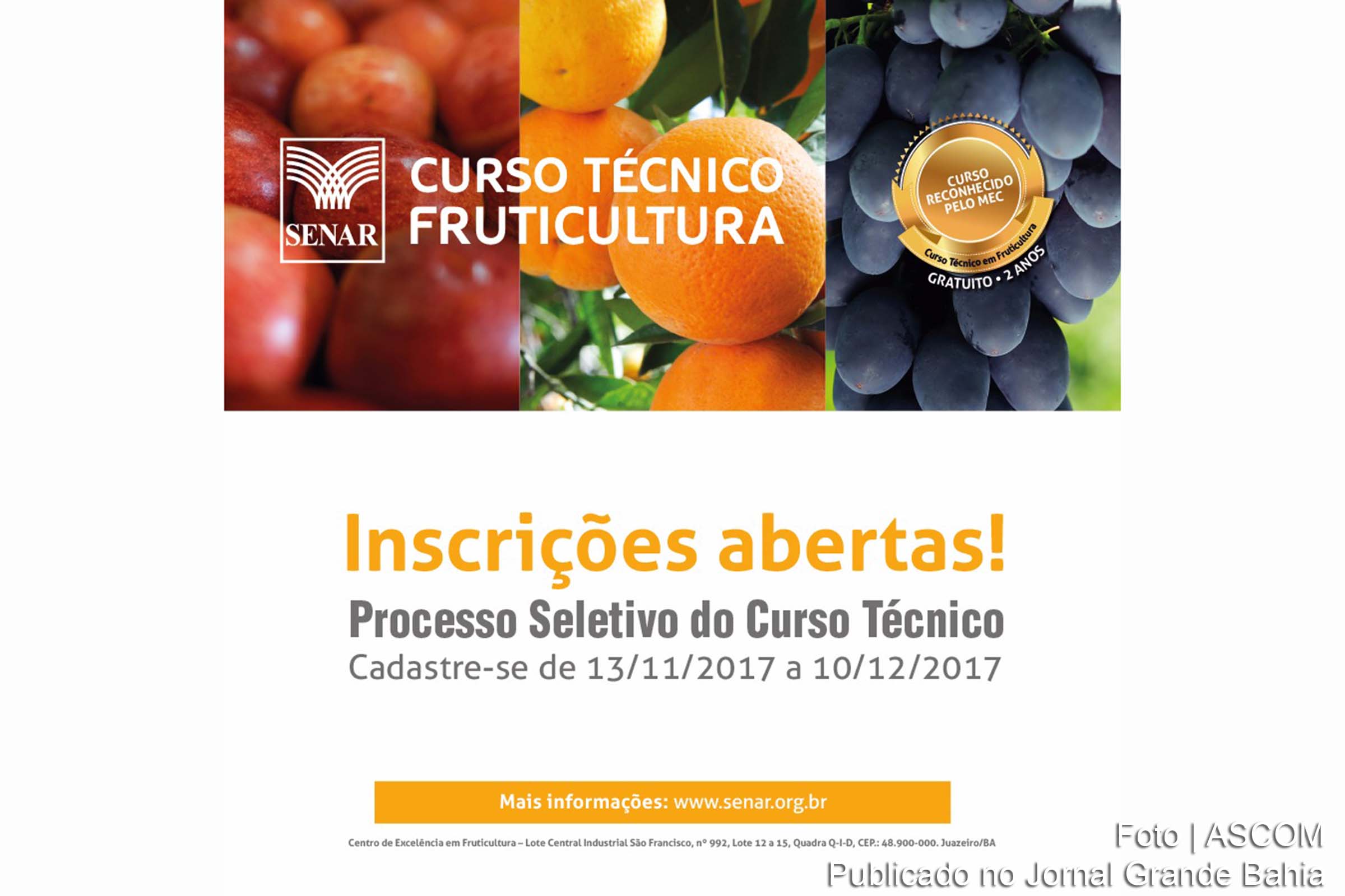 Cartaz do Curso Técnico em Fruticultura do SENAR.