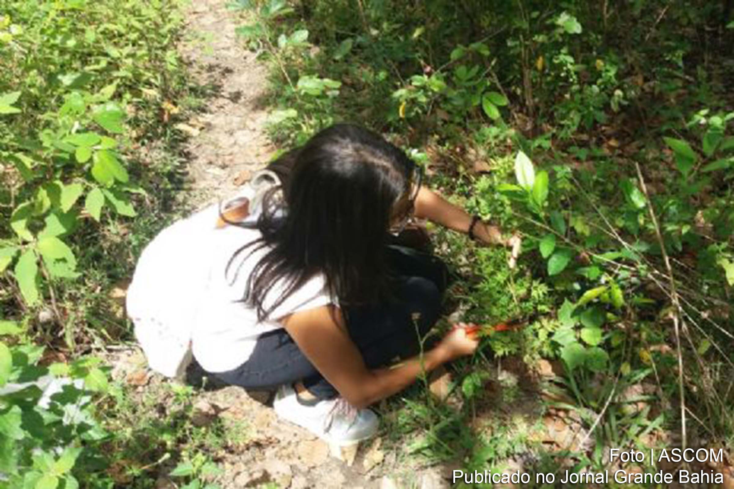 Curso Prático de Ecologia de Campo em Remanescente de Mata Atlântica promovido pela UNAMACS.