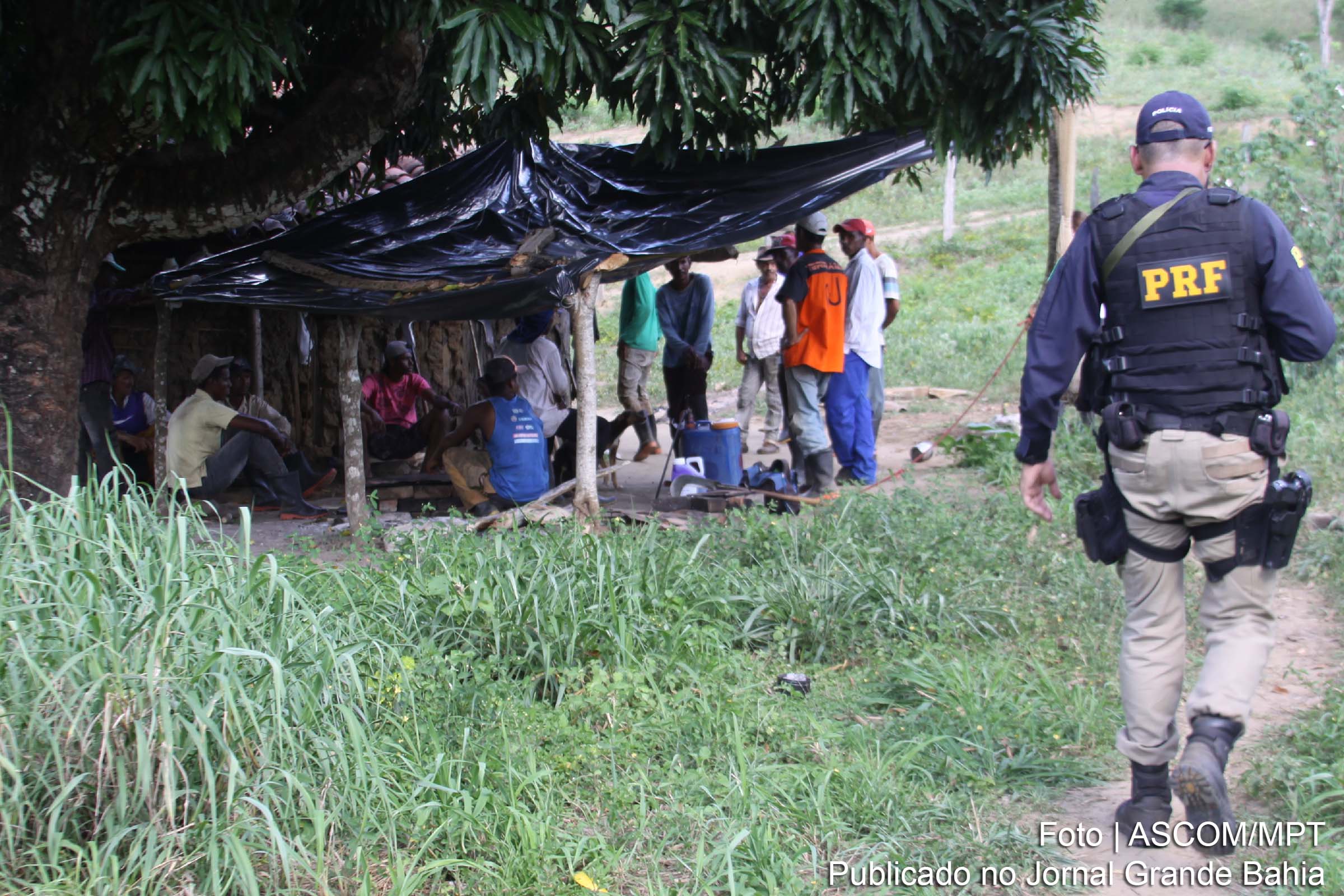 Fazenda flagrada com trabalho escravo na Bahia vai pagar rescisão.
