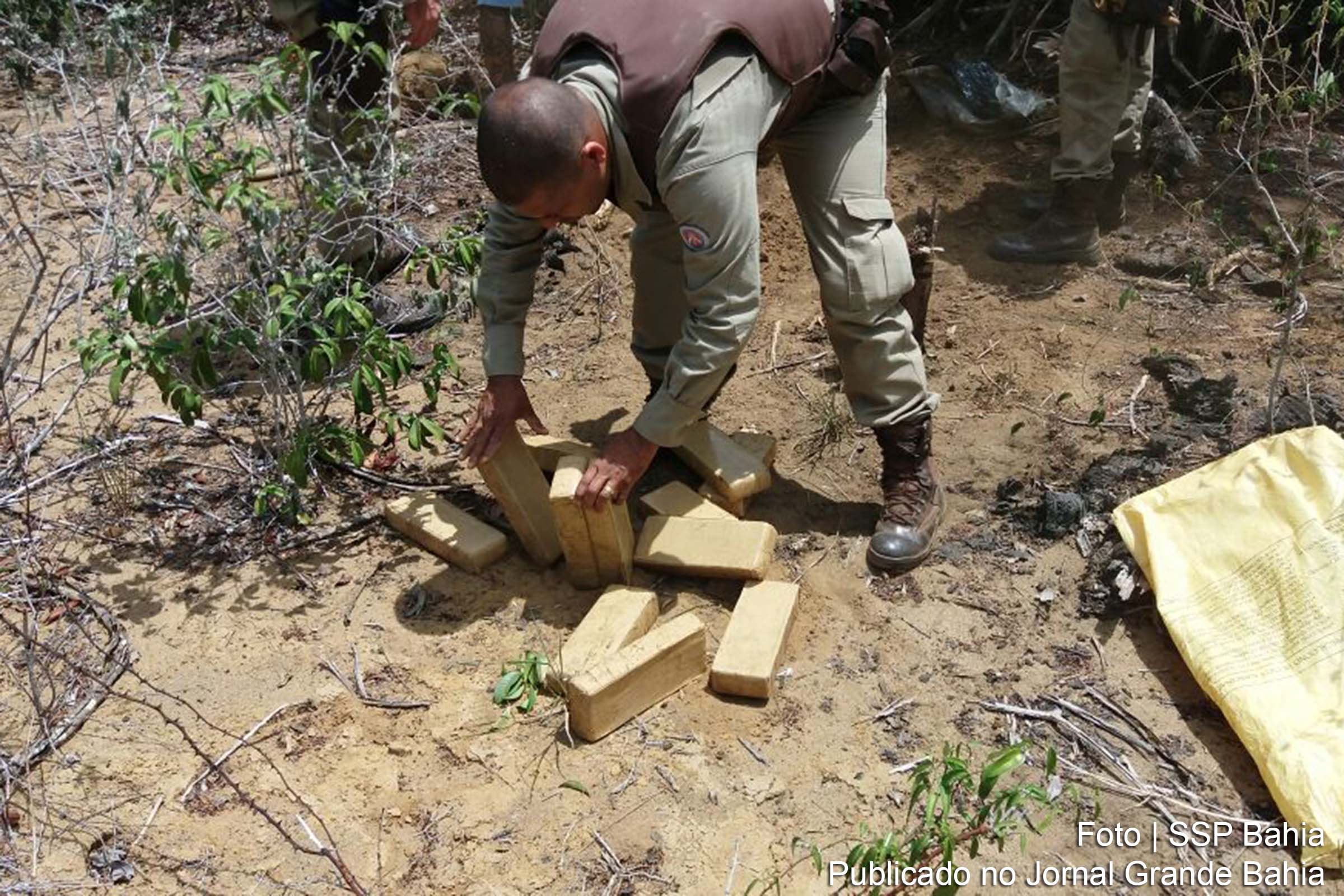 Equipes da 93ª CIPM e da Polícia Federal localizam 40 kg de maconha em Planaltino.