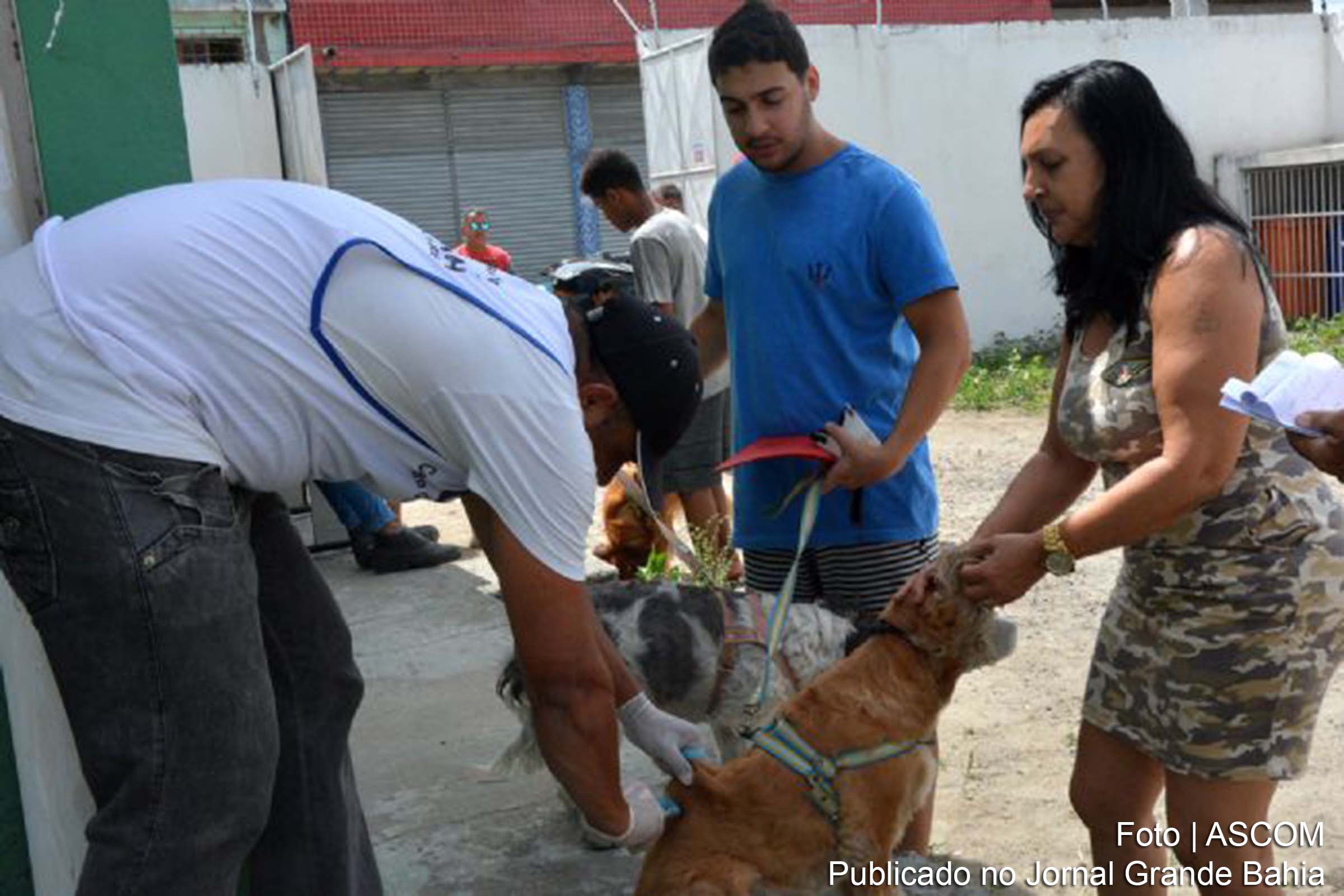 Centro de Controle de Zoonoses inicia imunização contra raiva animal em cães e gatos de Feira de Santana.