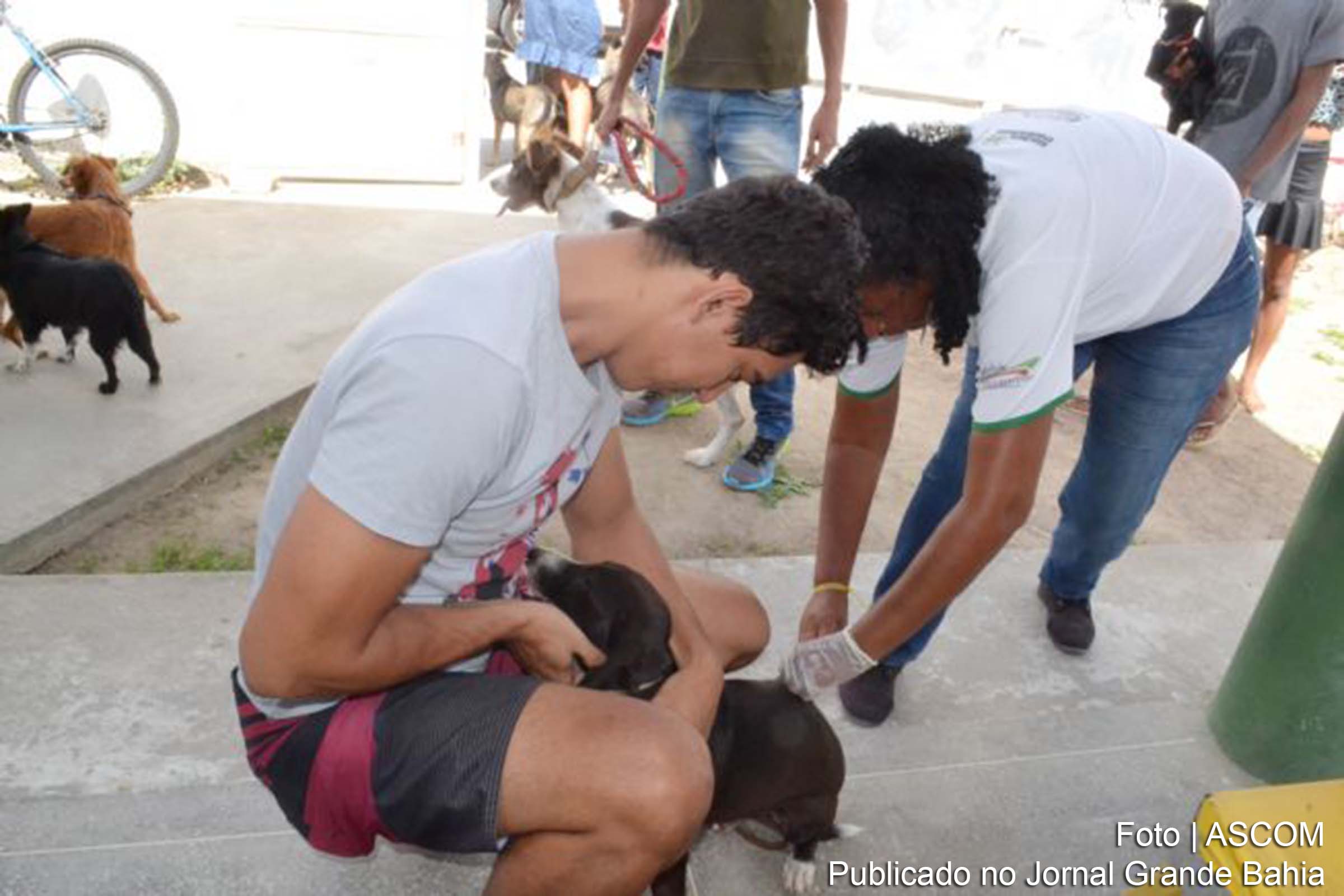 Centro de Controle em Zoonoses de Feira de Santana imuniza 6.811 animais na Campanha de Vacinação Antirrábica.