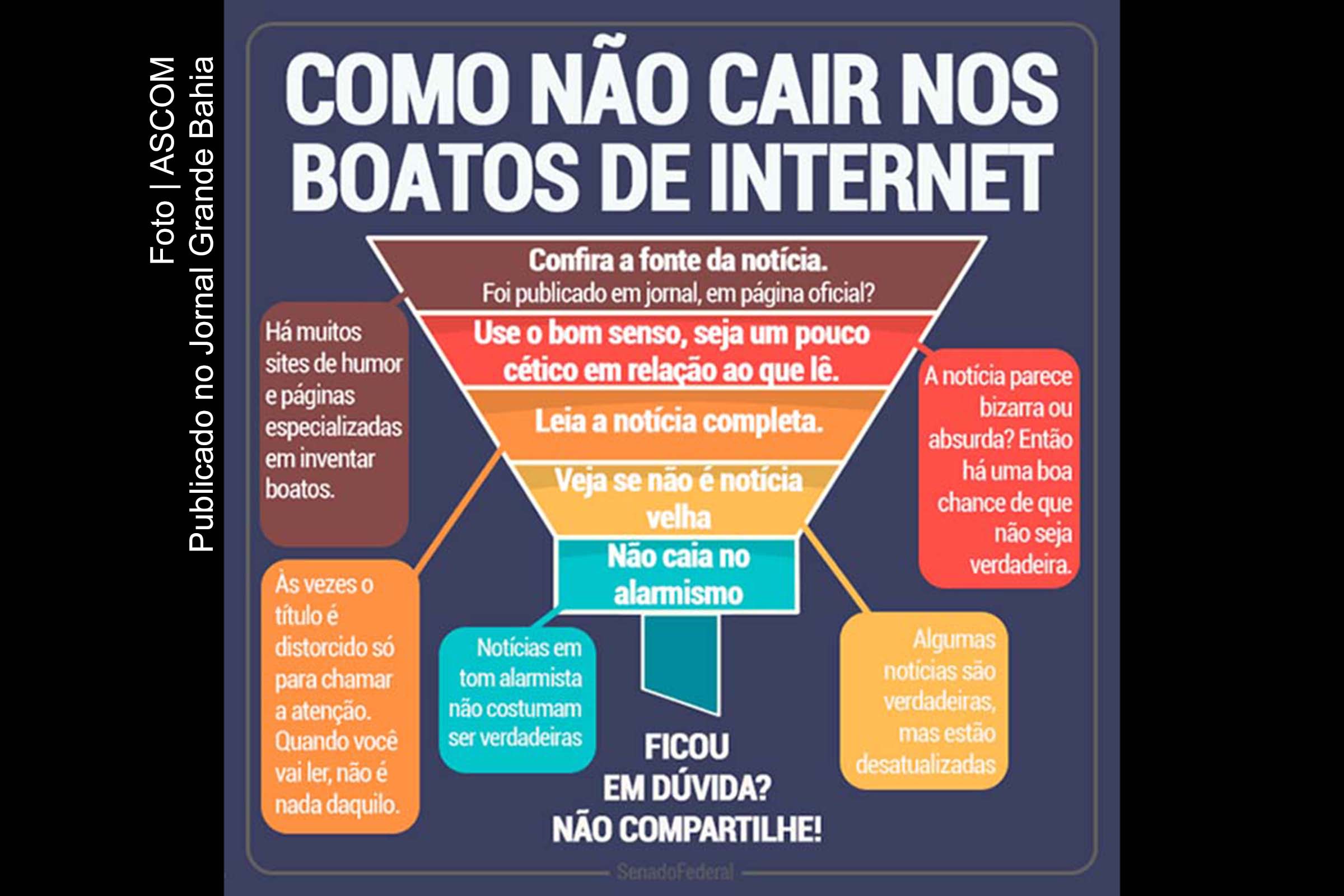 Infográfico orienta jornalistas sobre como não cair em boatos na internet.