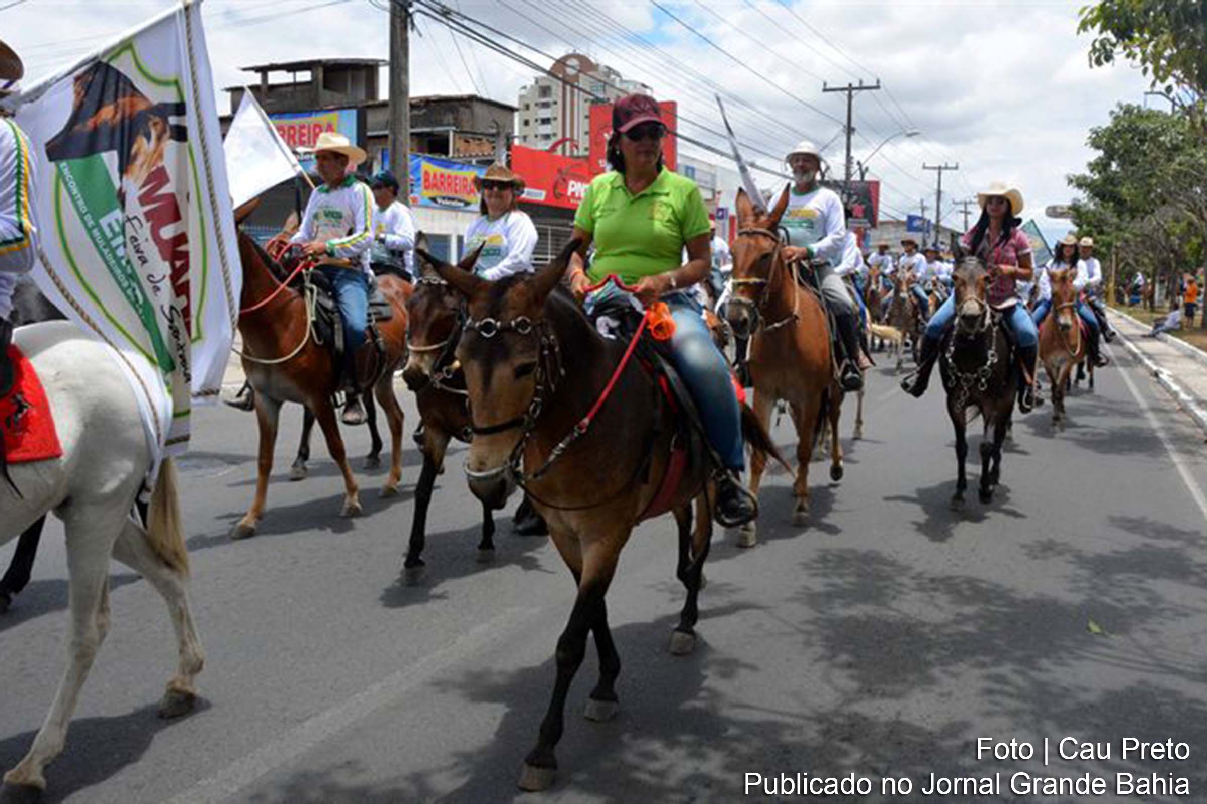 9ª Encontro de Muares de Feira de Santana.