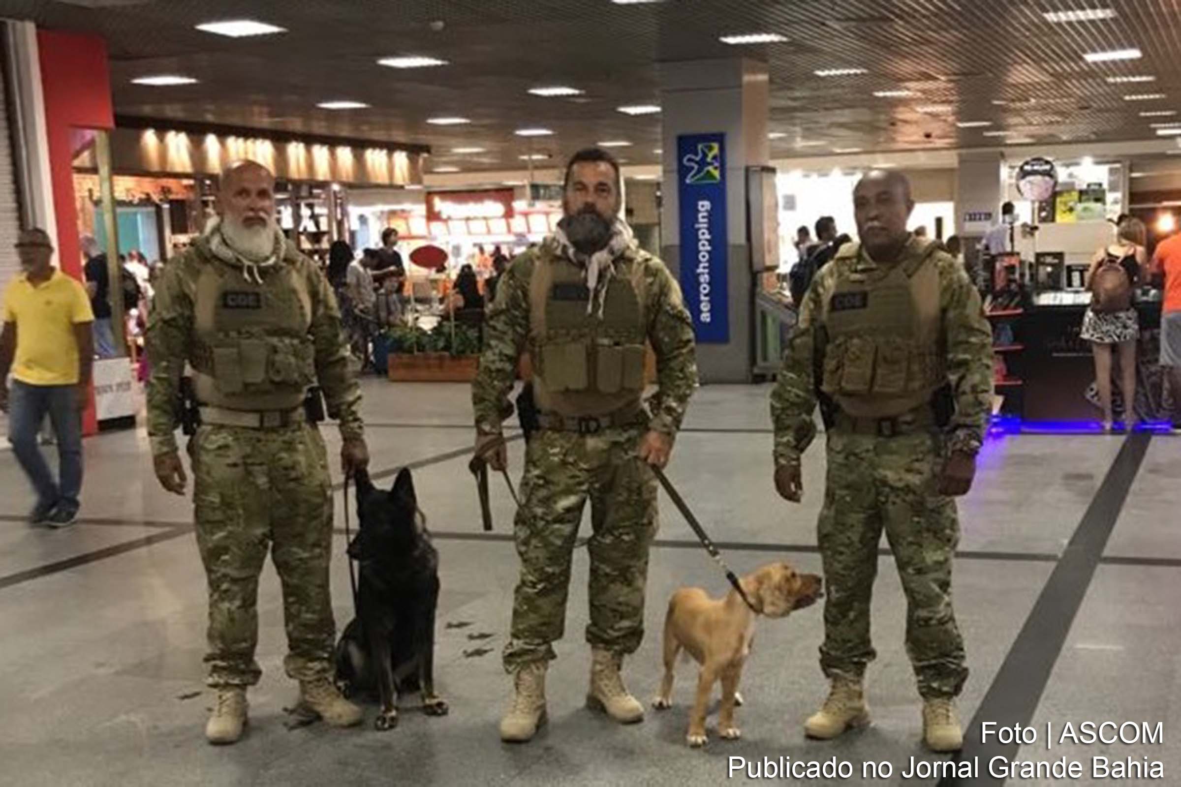 COE realiza operação com cães no Aeroporto de Salvador.