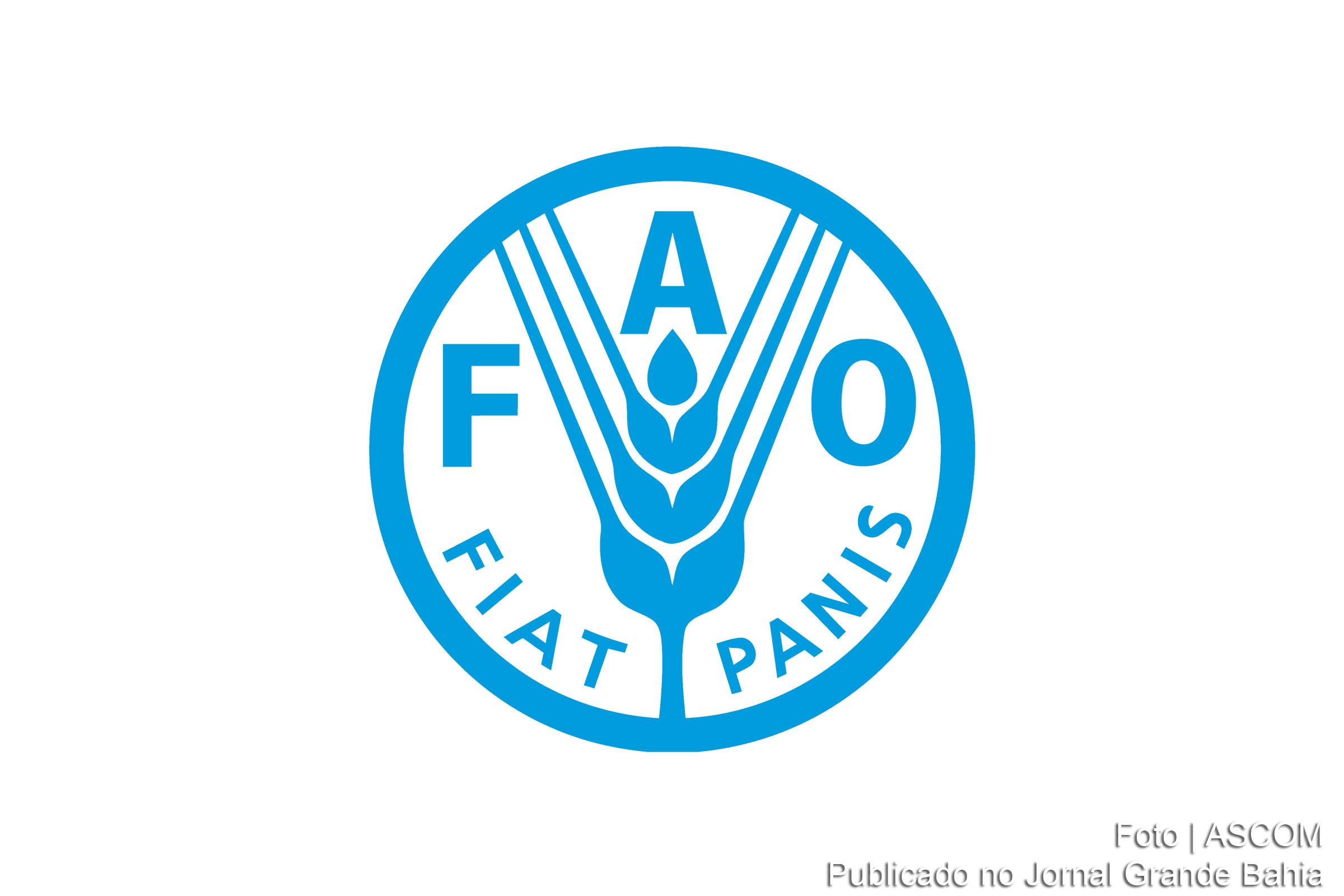 FAO lança plataforma global para partilhar conhecimentos de agricultura.