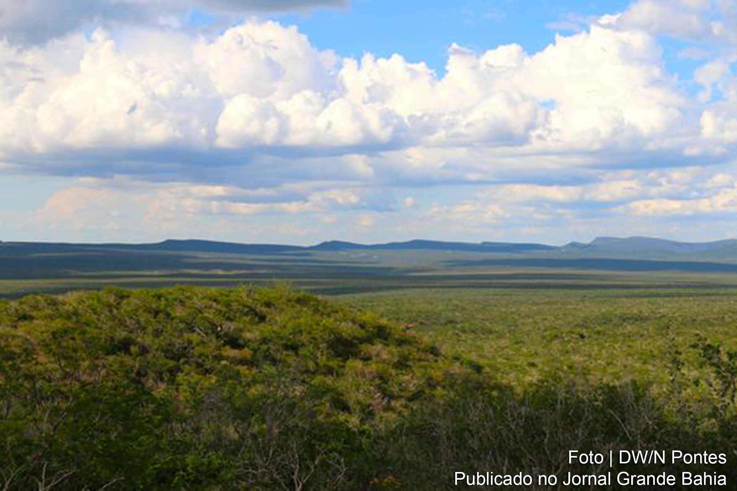 Situada na Bahia, Boqueirão da Onça é uma região formada por serras e vales estreitos cobertos pela vegetação que só existe no Brasil, a caatinga.