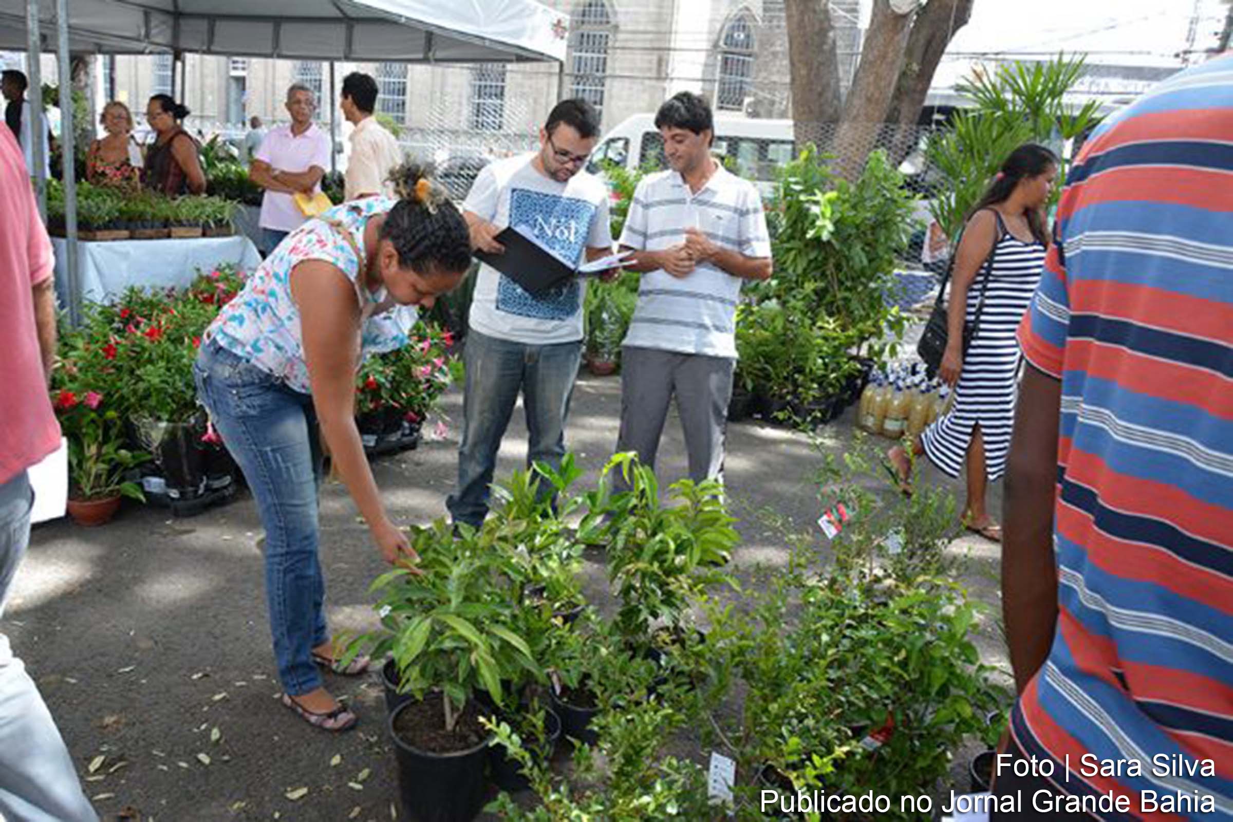 ‘Feira em Flores de Holambra’, realizada no no estacionamento da Prefeitura de Feira de Santana.