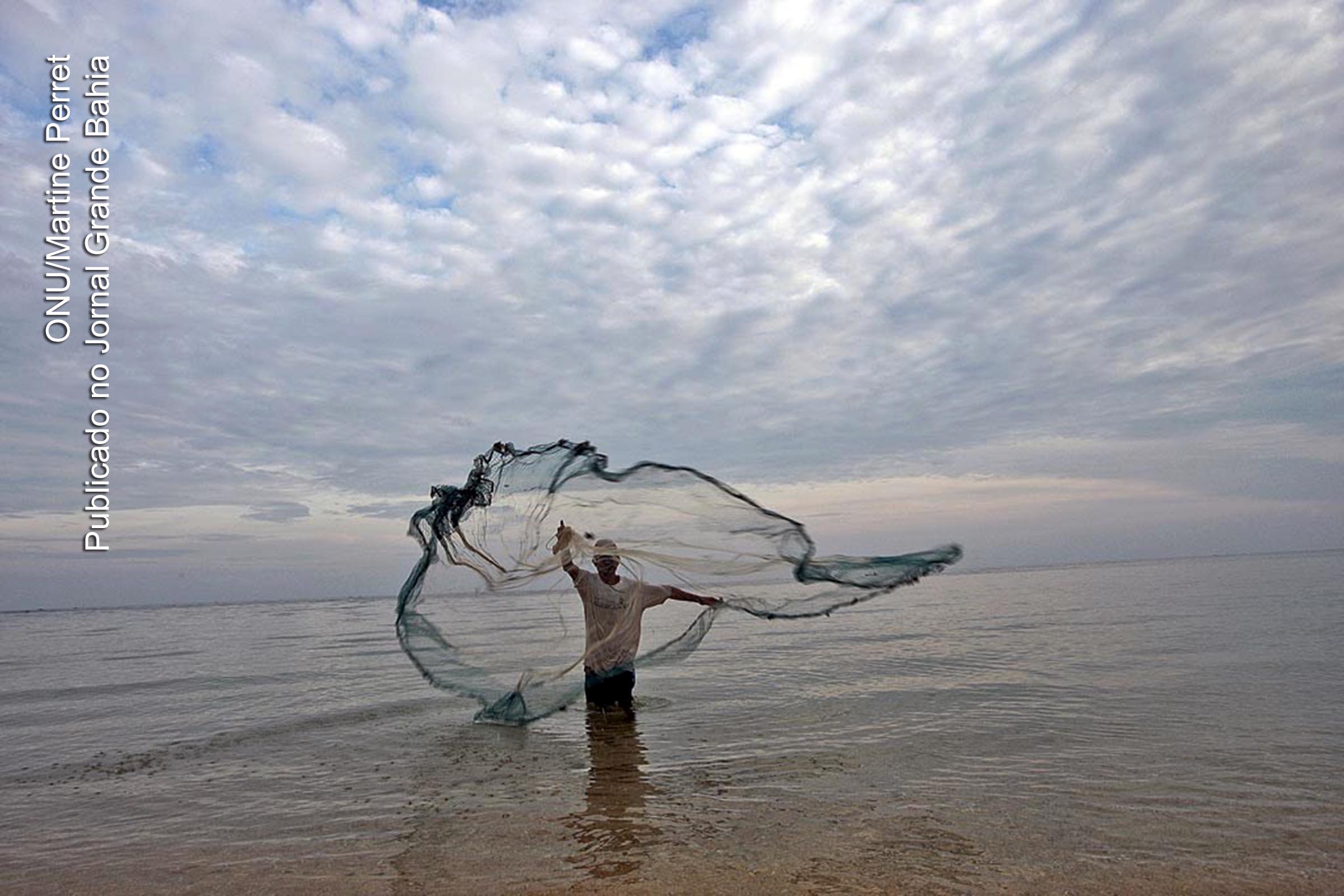 200 milhões de pessoas dependem da pesca para subsistência. Mais de 90% dos pescadores em todo o mundo trabalham em pequenas empresas.