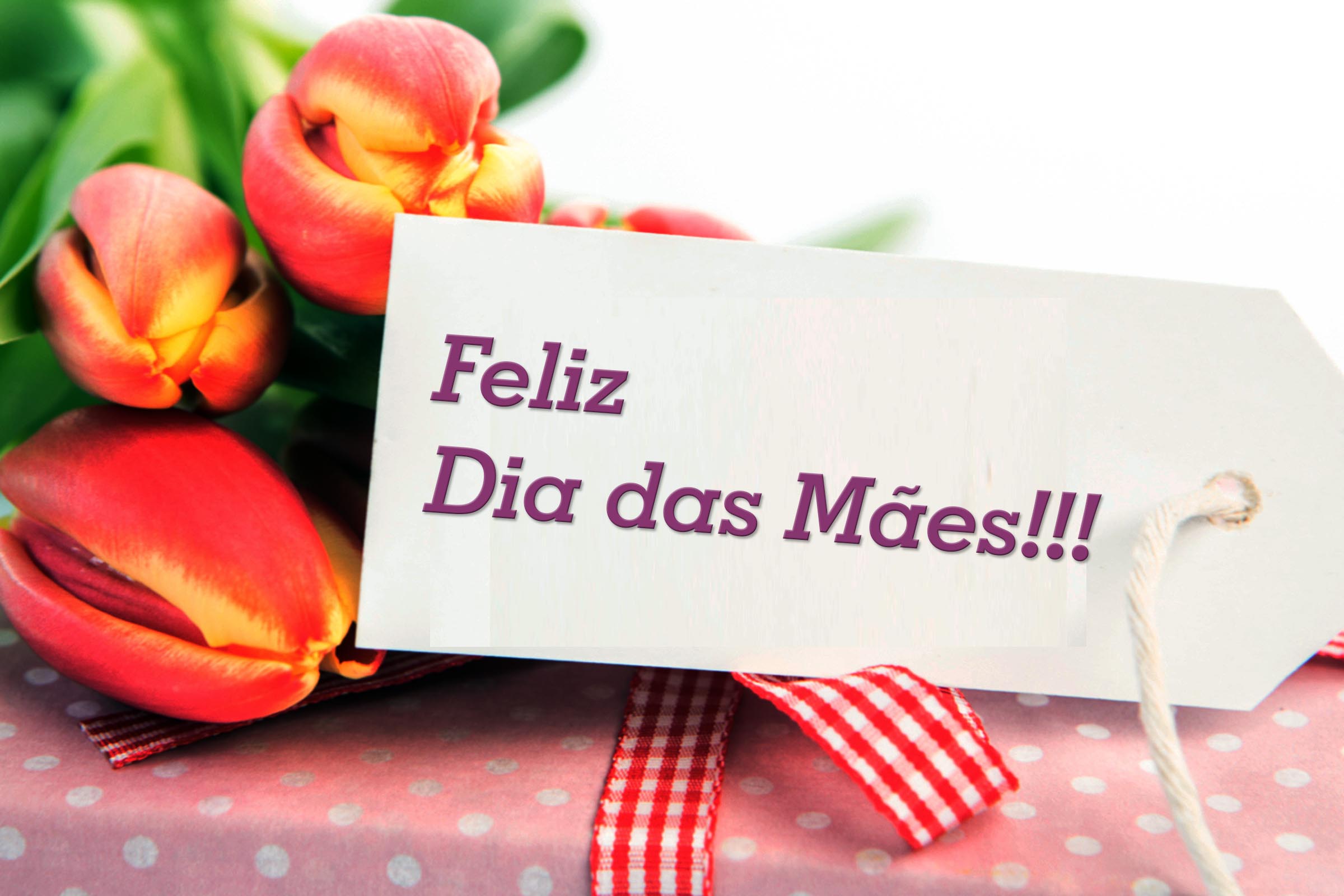 Artigo presta homenagem às mães.