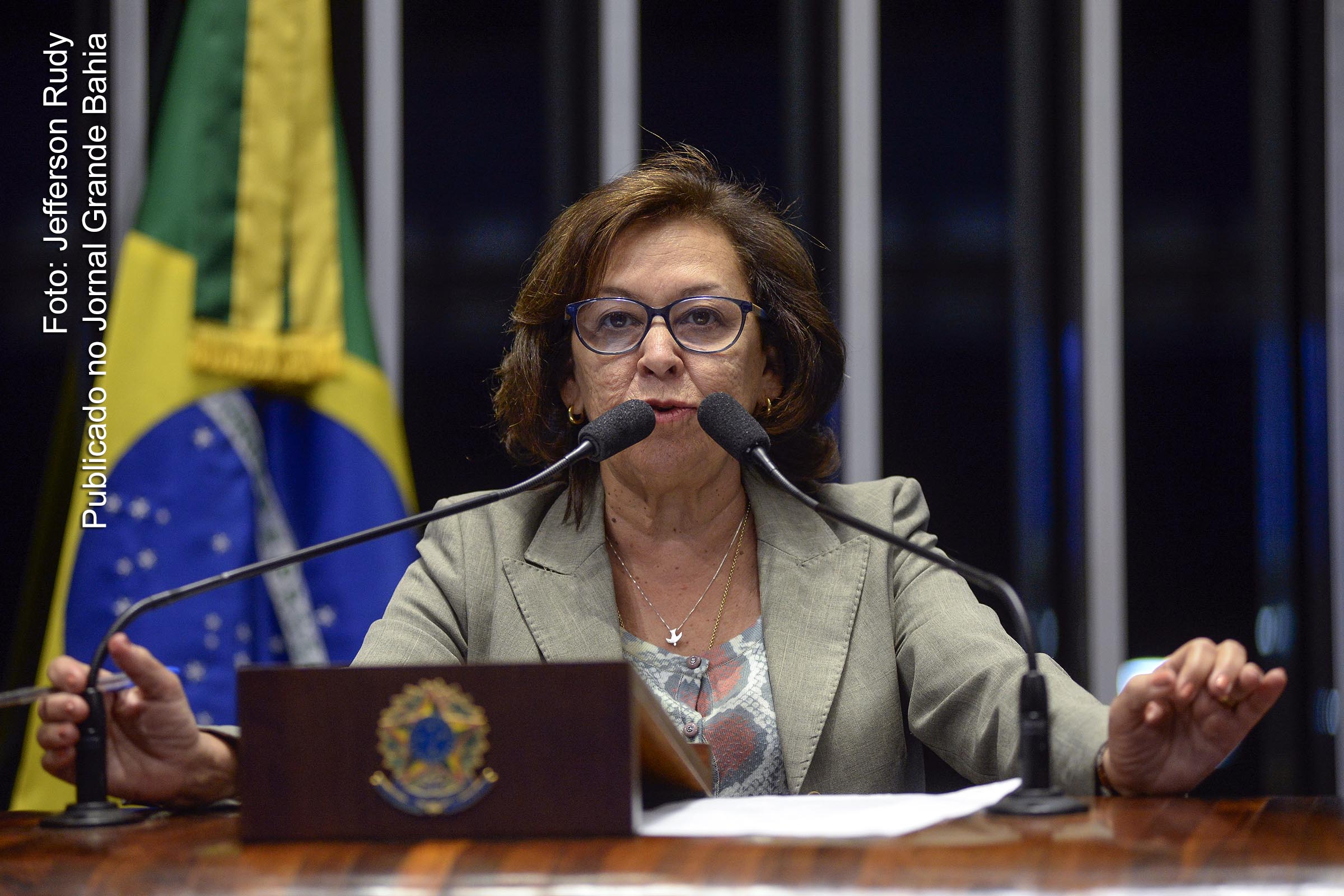 Lídice da Mata: Tinha razão Darcy Ribeiro quando afirmava que esse país é enfermo de desigualdades.