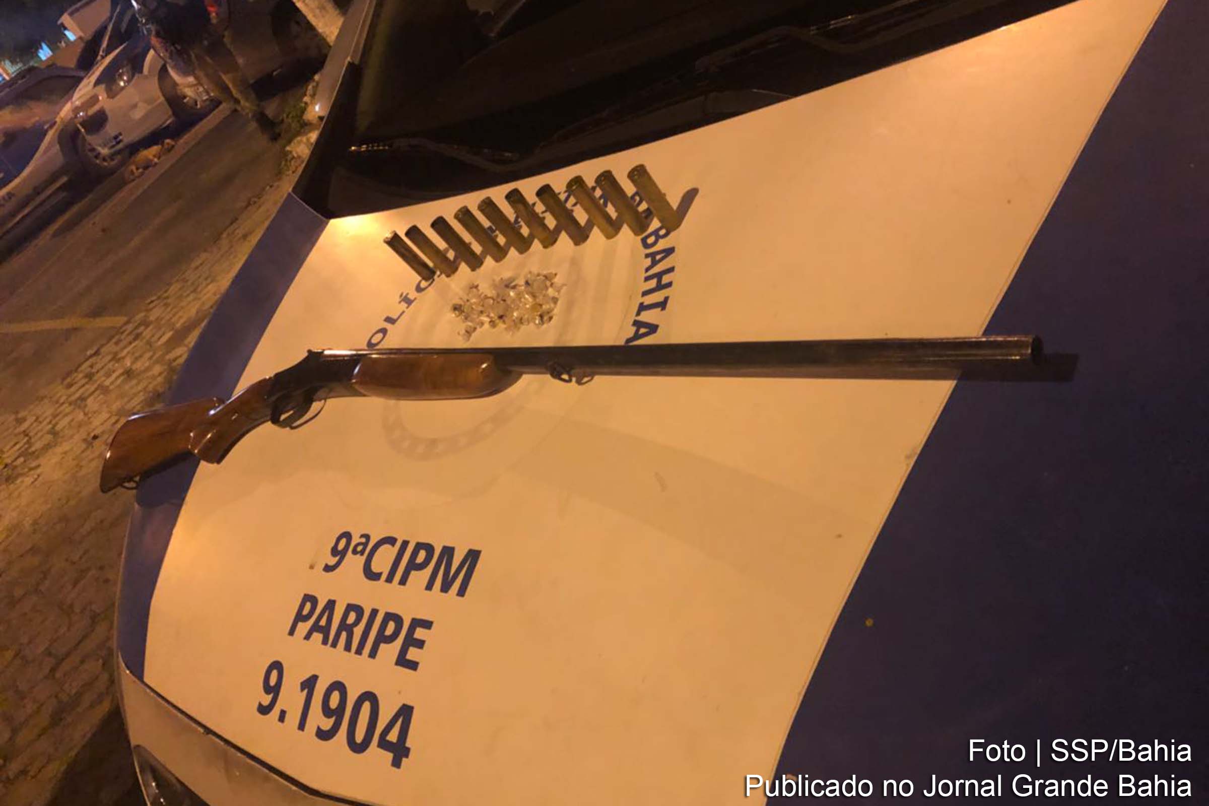 Polícia apreende armas e munição.