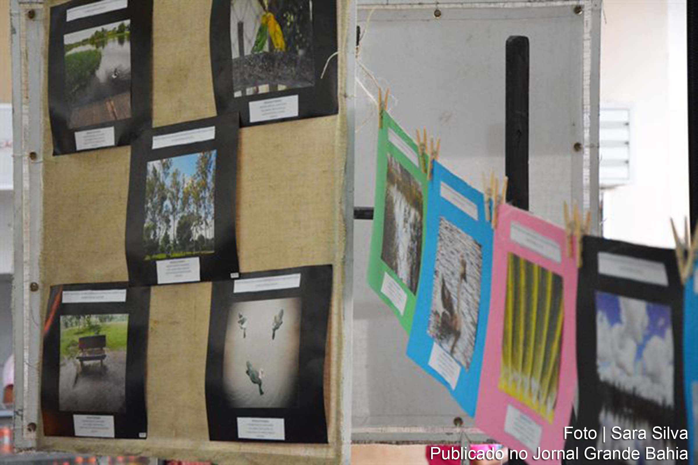 Fotos dos parques públicos feirenses compõem exposição no MAP