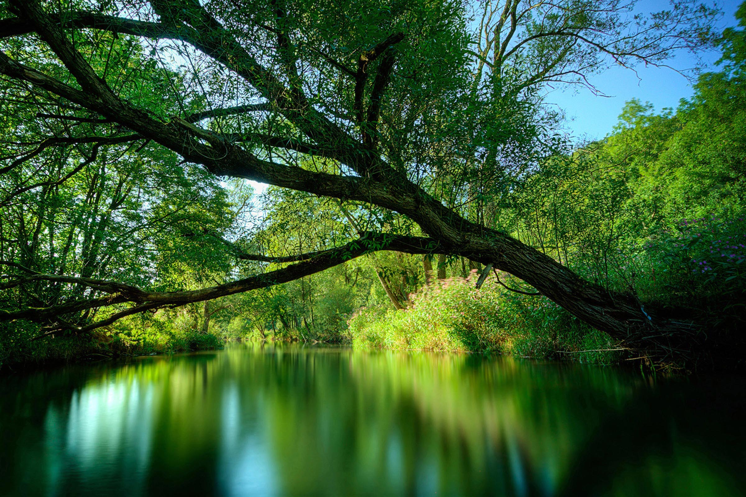 Preservar o Meio ambiente, dever de todos | Por João Baptista Herkenhoff