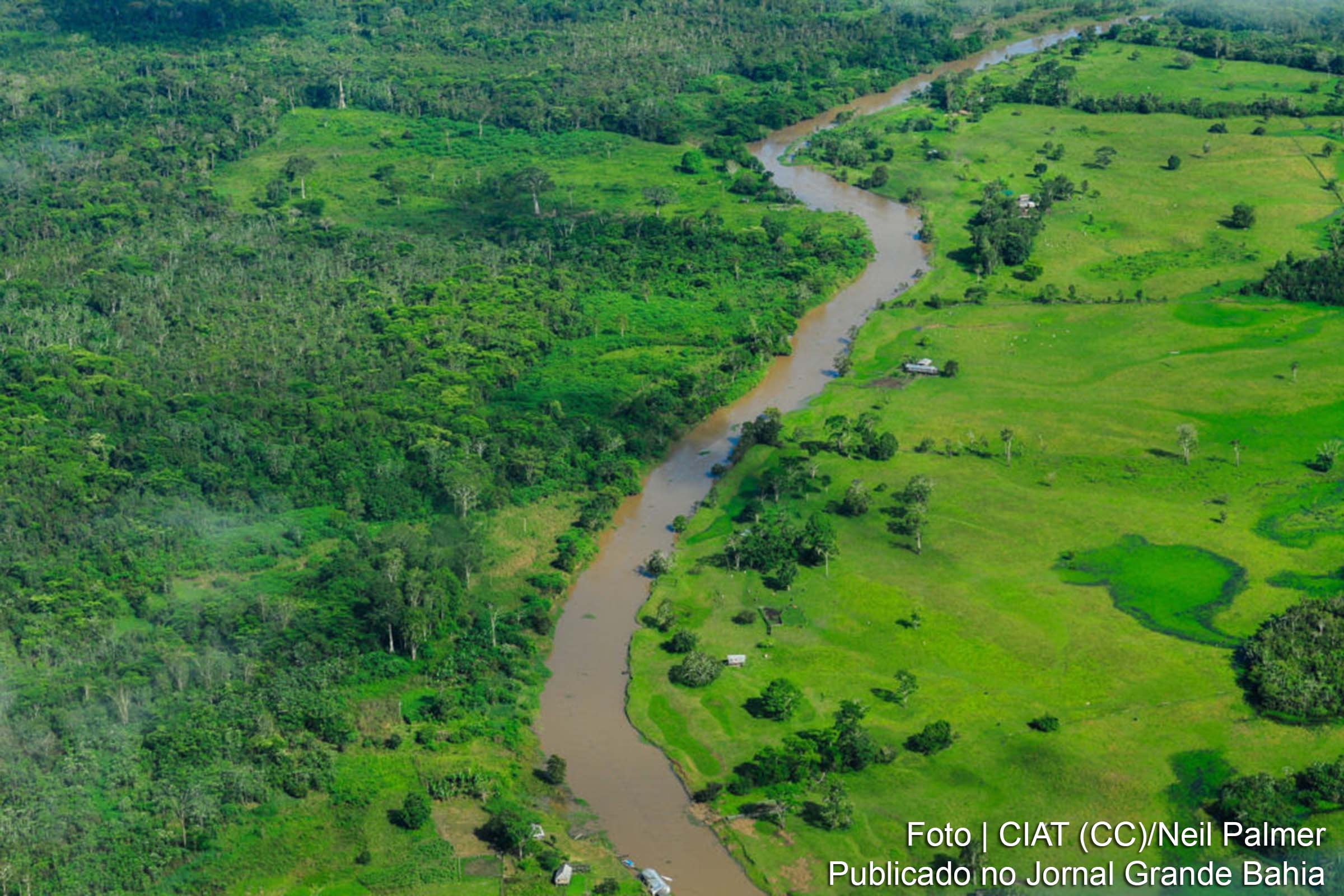 ONU Meio Ambiente e parceiros miram poluição nos rios do Brasil para reduzir lixo marinho