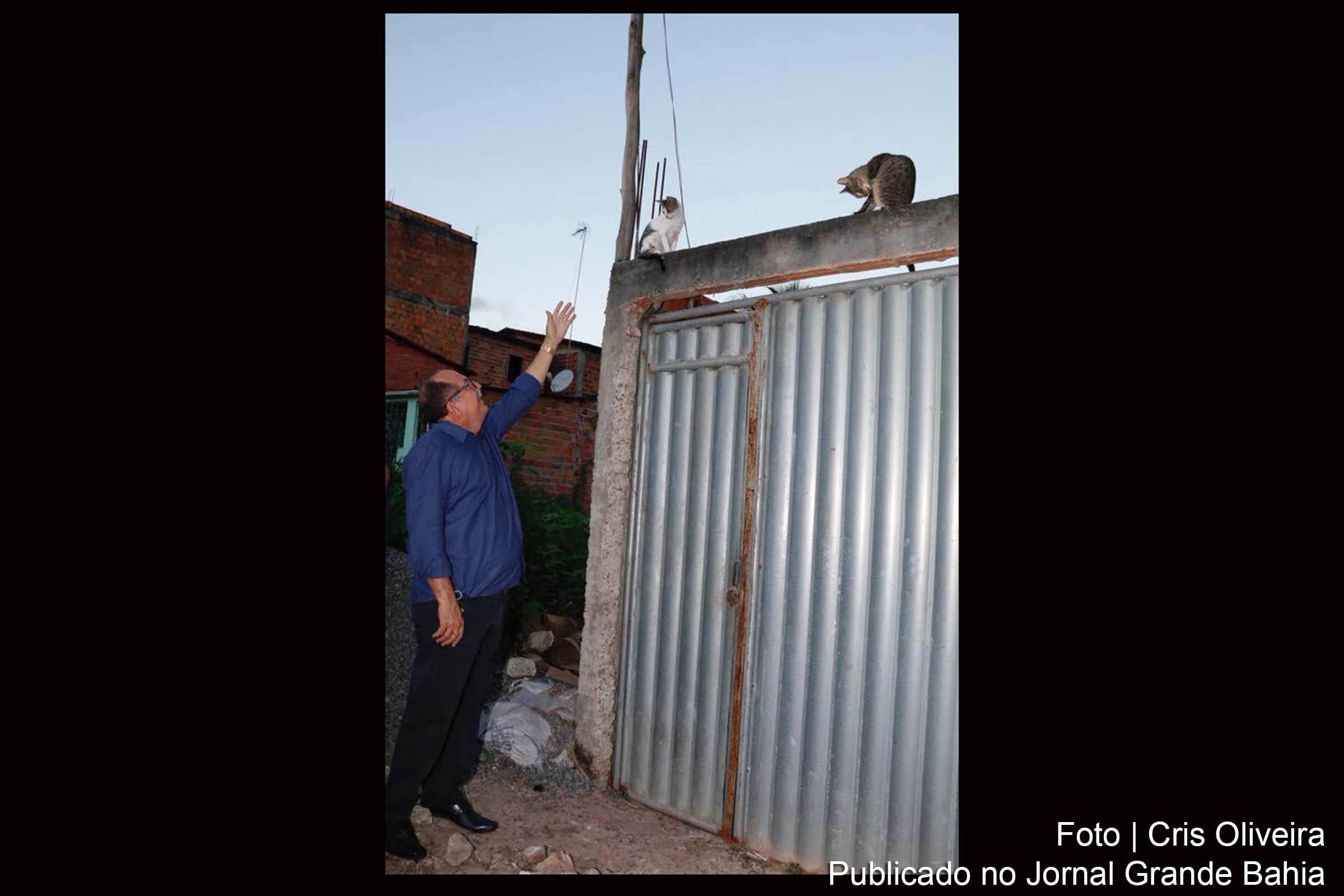 Deputado José de Arimateia atua em defesa da vida animal.