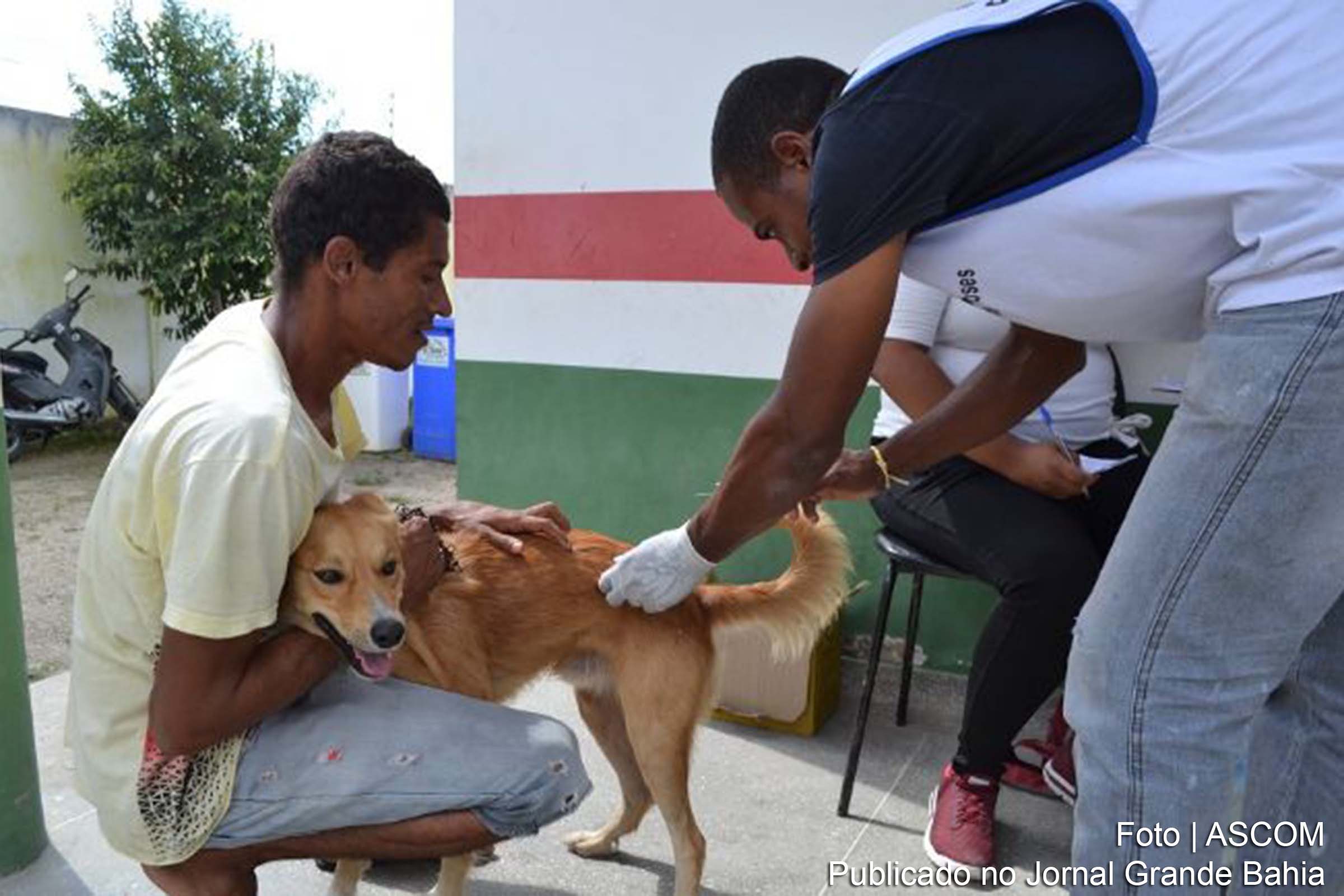 Campanha de Vacinação Antirrábica em Feira de Santana.