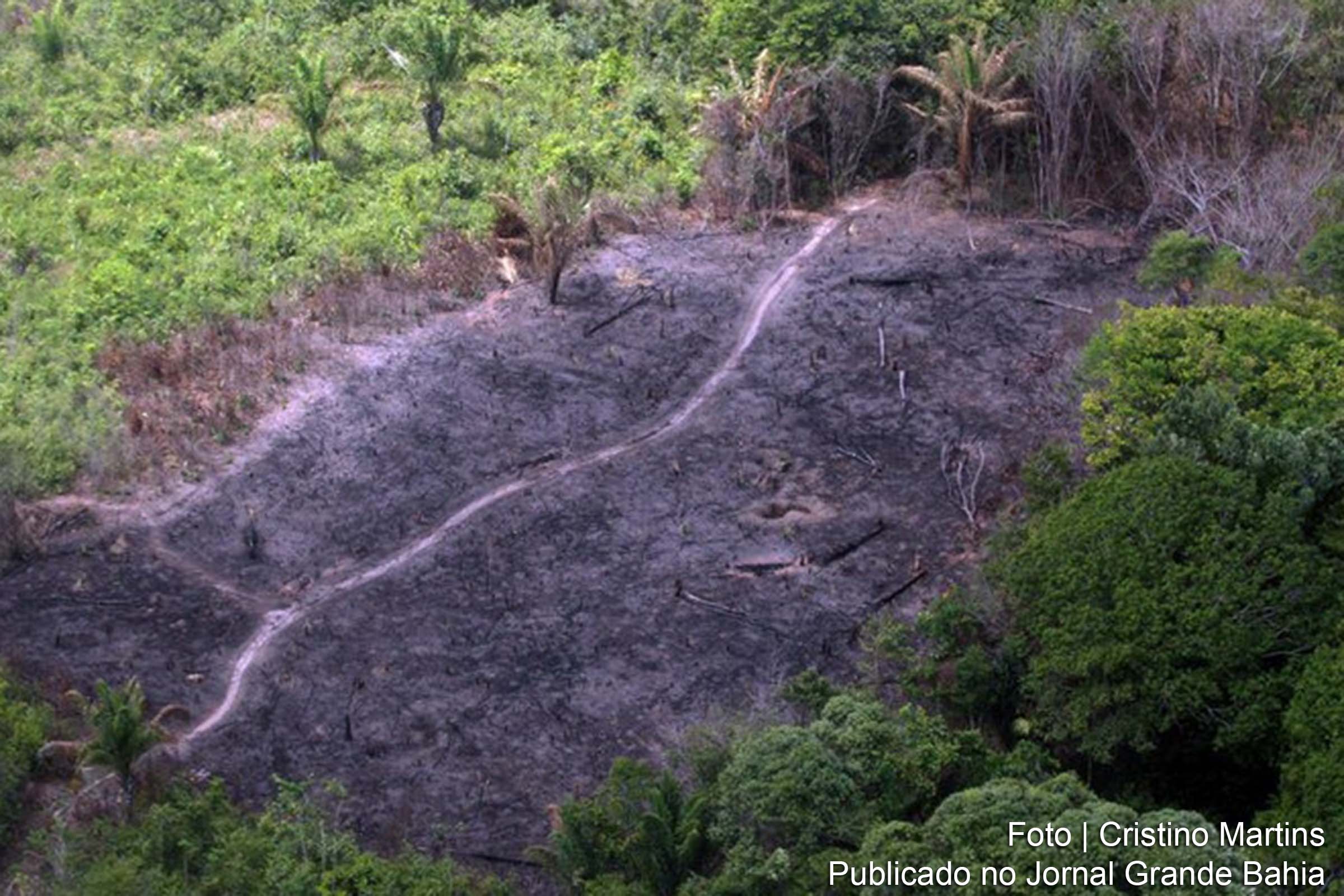 Área ambiental devastada por queimada.