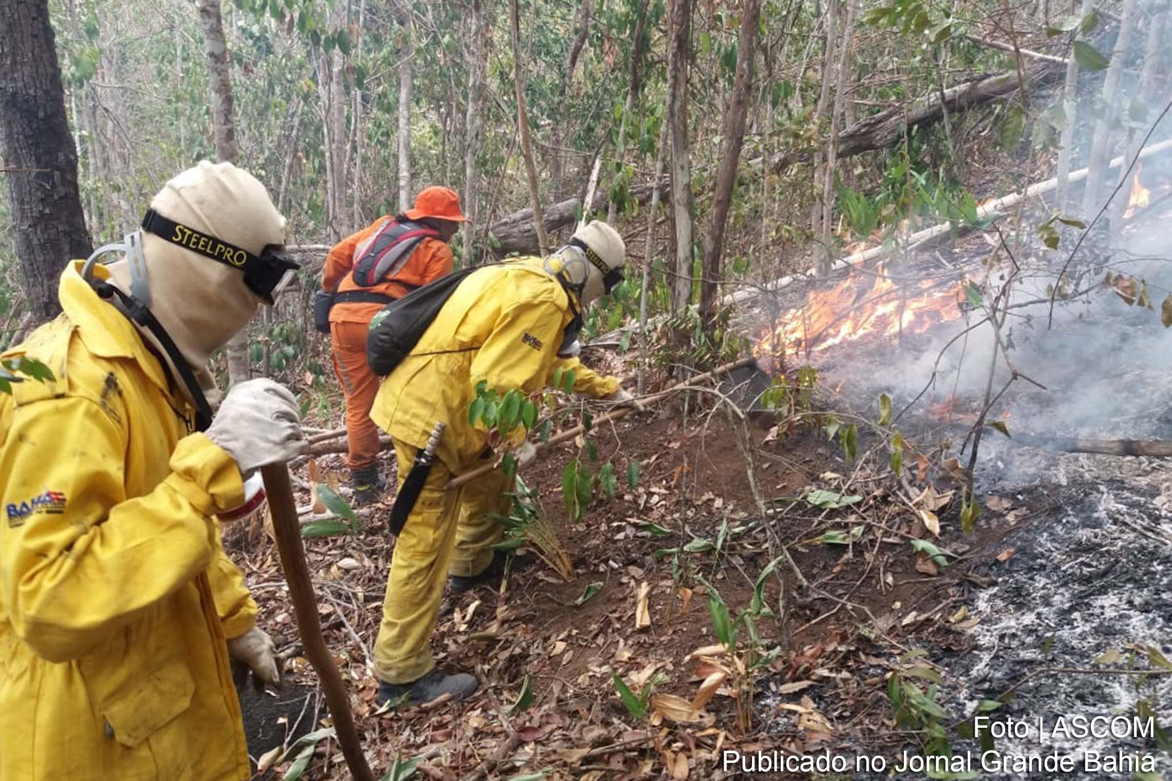 Incêndio florestal em Utinga é controlado pelo Corpo de Bombeiros da Bahia.
