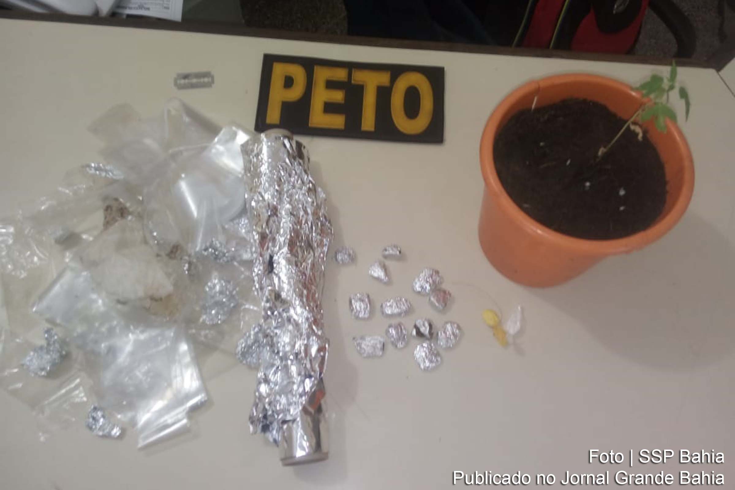 Policiais caninos encontraram dois papelotes de cocaína, um vaso com uma muda de erva, em Valença.