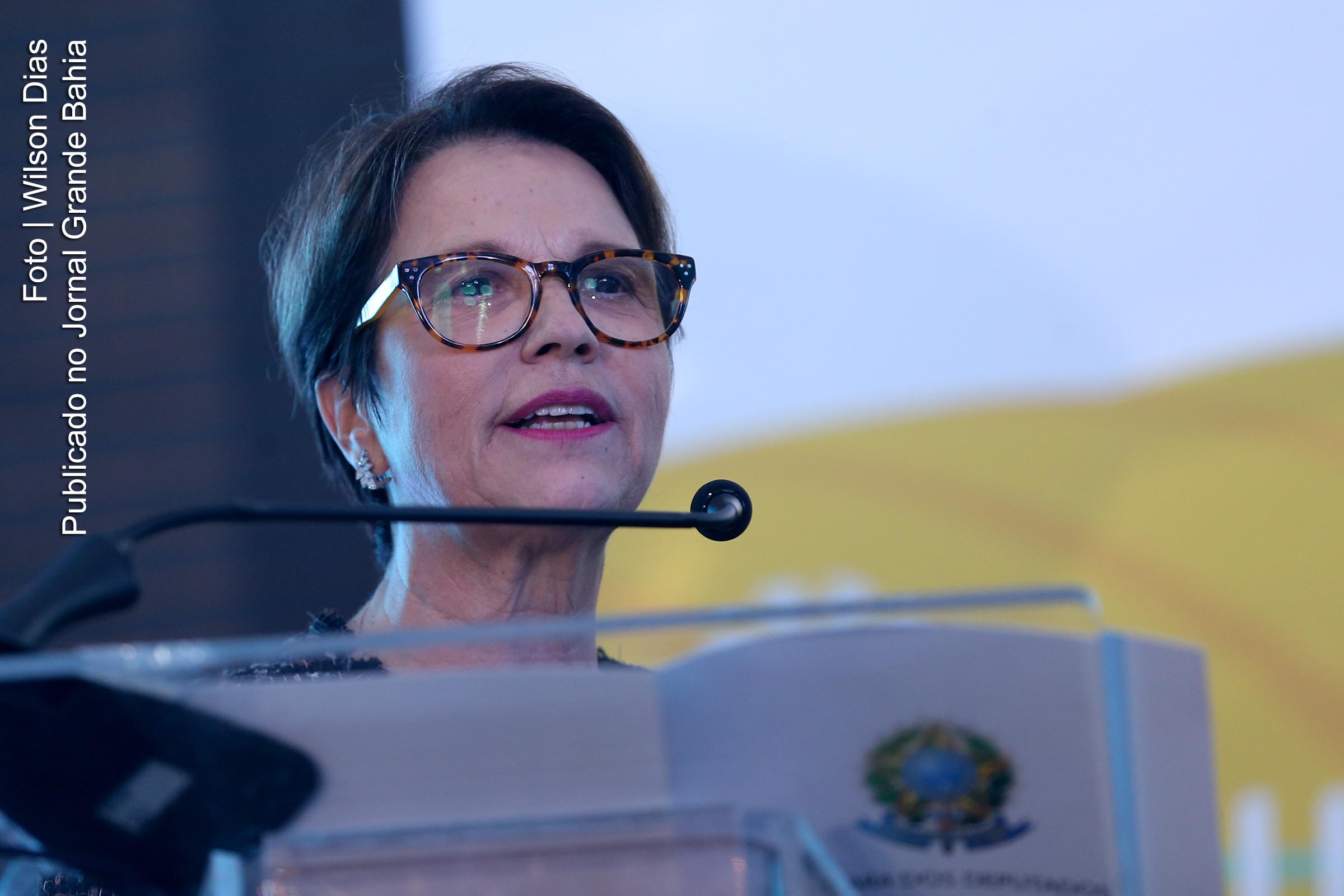 Deputada Tereza Cristina é confirmada para o Ministério da Agricultura; deputada será a primeira ministra da equipe do Governo Bolsonaro