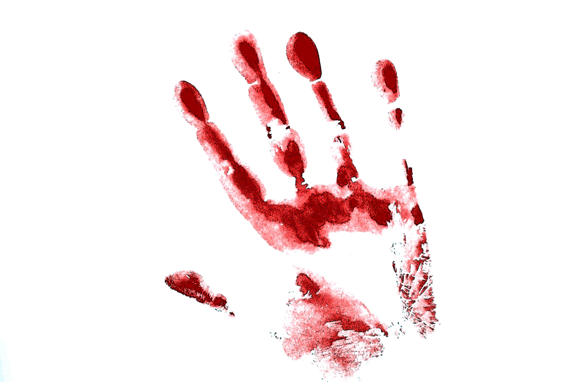 CRMQ completa oito anos protegendo mulher em situação de violência.