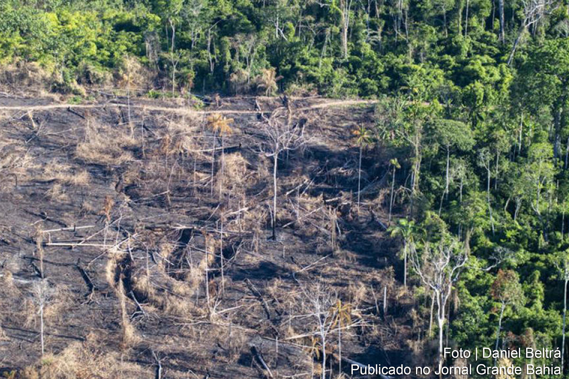 Ao final da temporada de fogo na Amazônia, o Greenpeace esteve em campo para registrar o estrago deixado pelas queimadas.