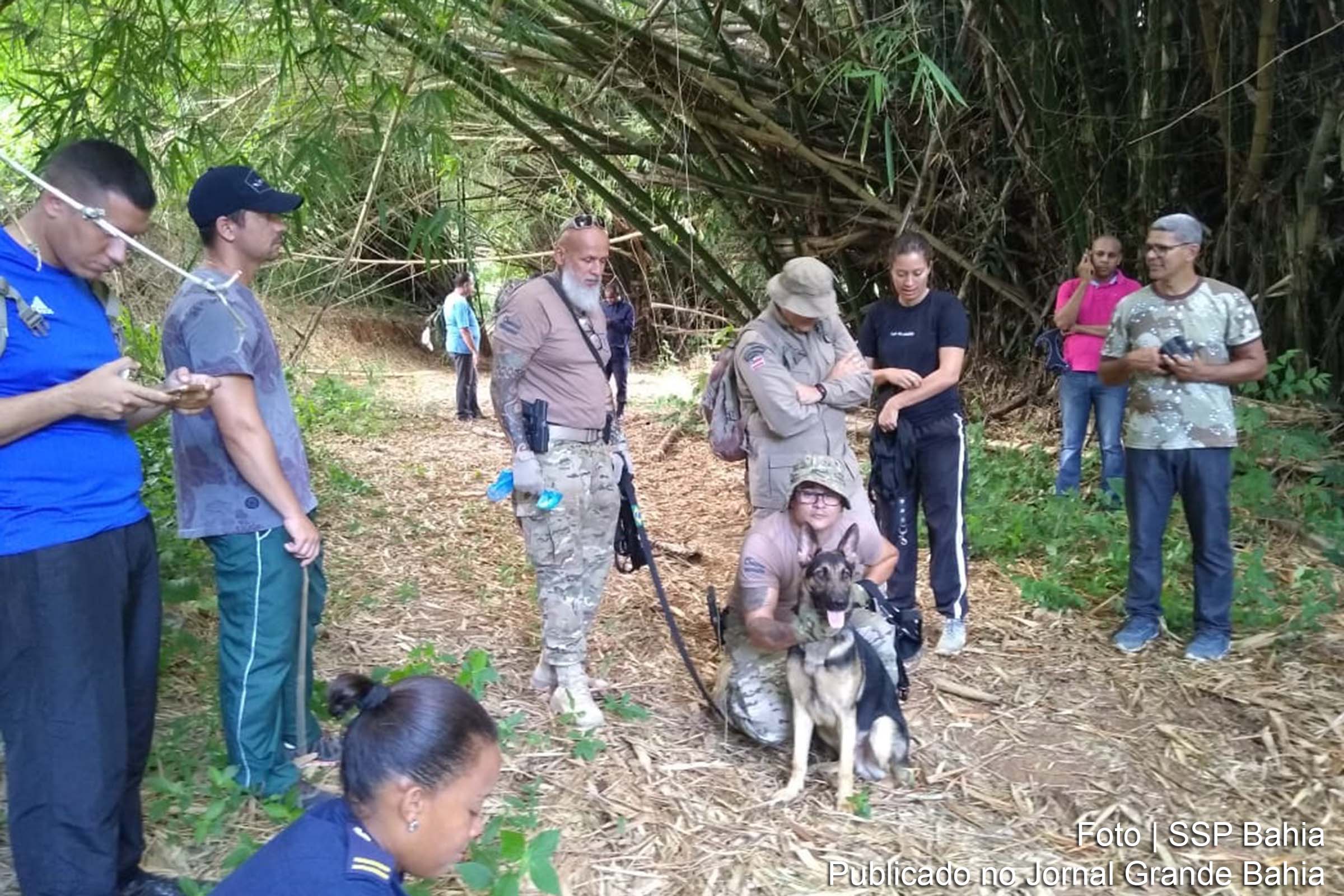 Cães de detecção das polícias Civil e Militar passaram por treinamento.