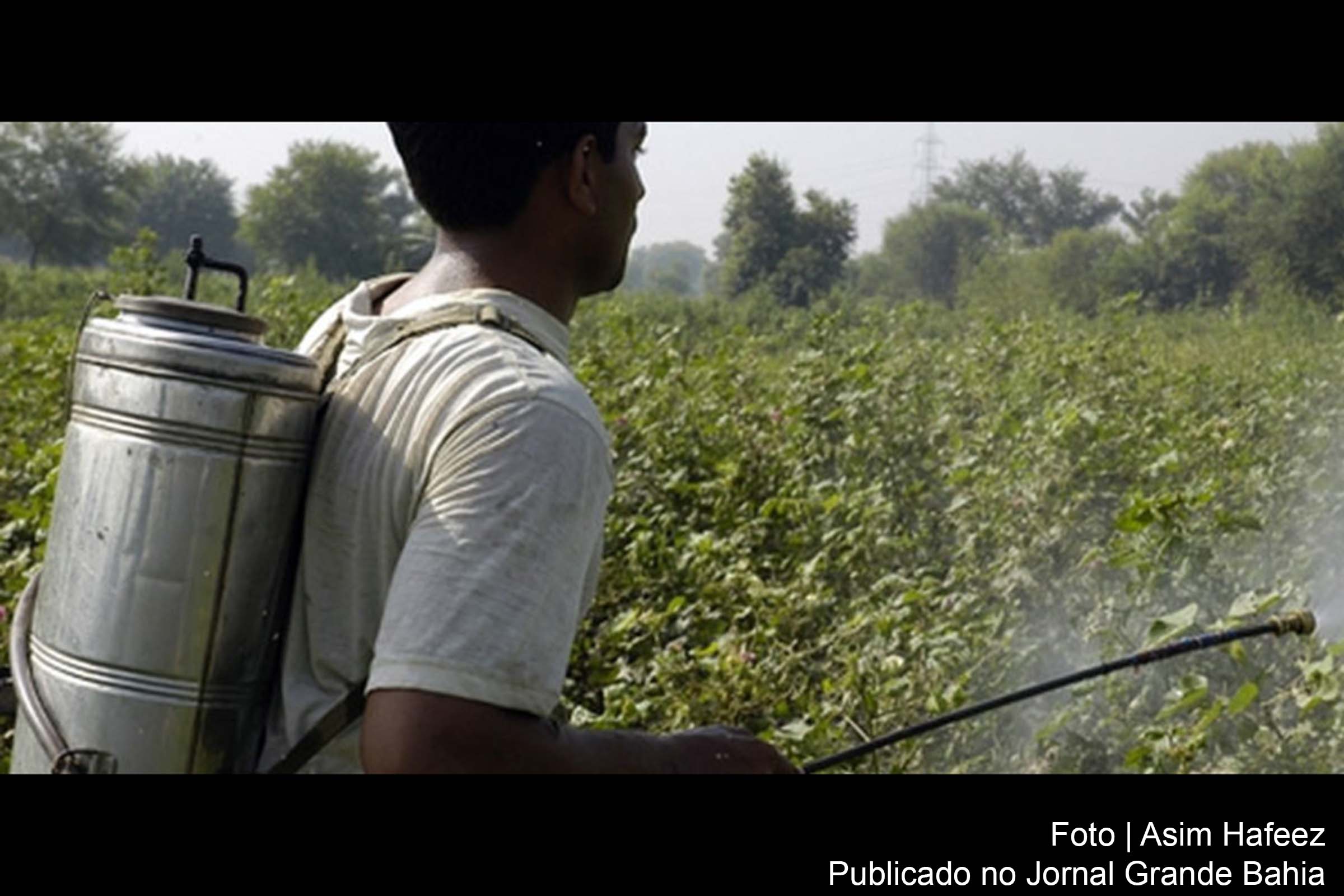 Indústria química representa um dos setores de produção mais dinâmicos do Brasil.