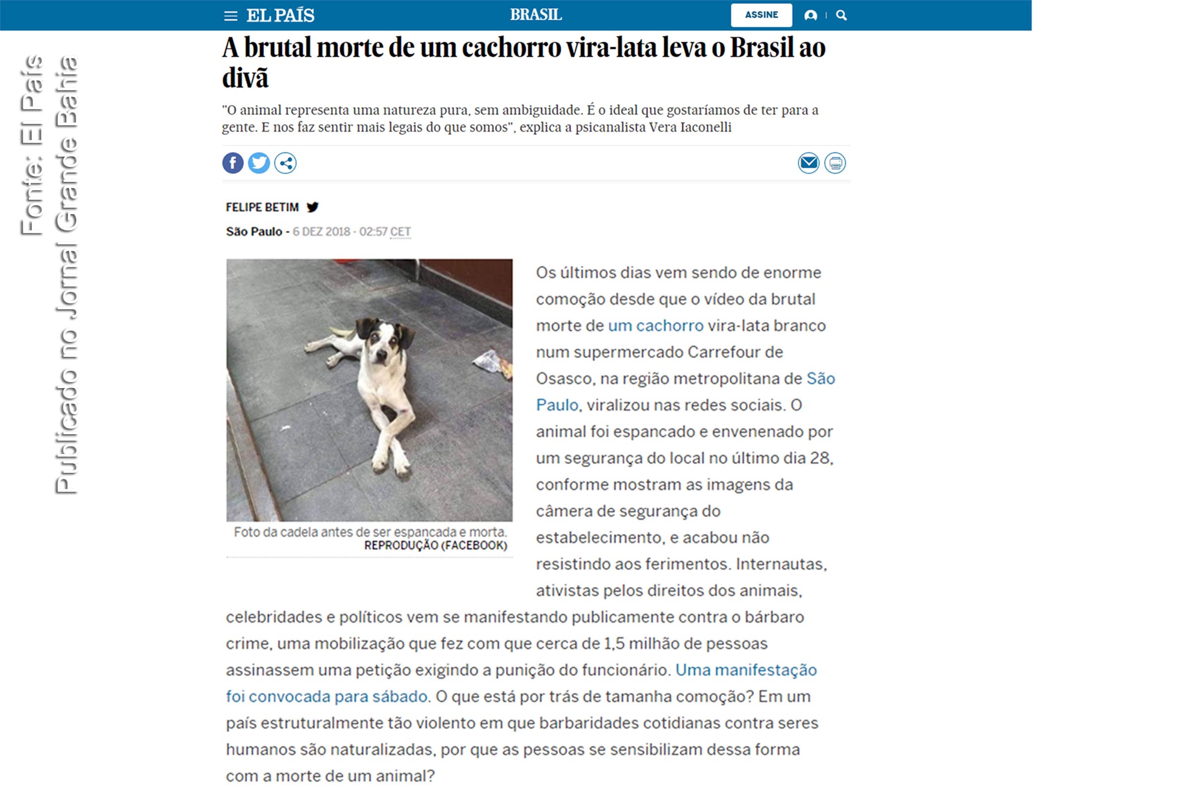 Reportagem do El País 'A brutal morte de um cachorro vira-lata leva o Brasil ao divã'. Deputado José de Arimateia critica episódio de violência.