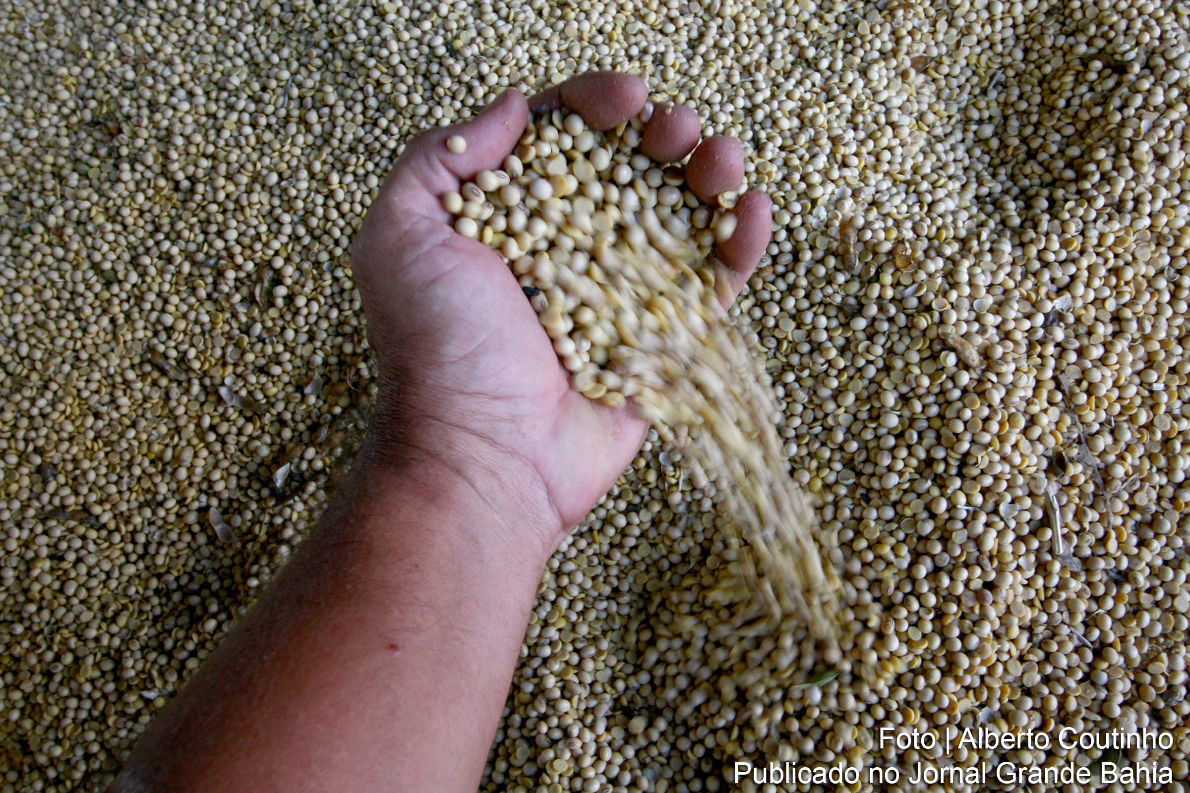 A venda de produtos básicos ao exterior foi puxada pelo preço da soja, que representou alta de 35% sobre o ano de 2017.