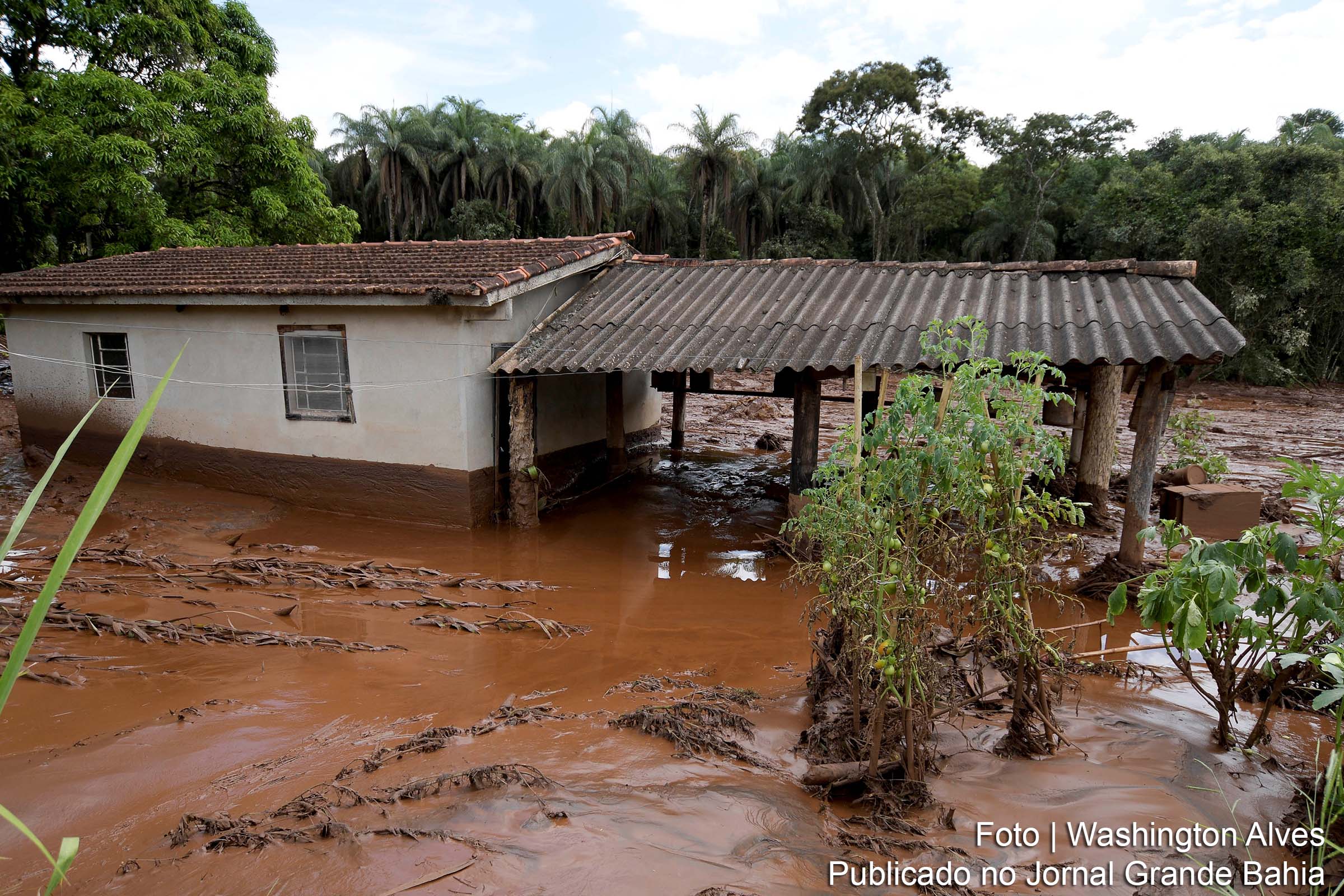 Vista panorâmica do dano ambiental causado pelo rompimento da barragem Mina Córrego do Feijão, de propriedade da empresa Vale, situada em Brumadinho, Minas Gerais. Degradação ambiental compromete Rio Paraopeba. Tragédia é avaliada como ato de genocídio contra a população e a natureza.
