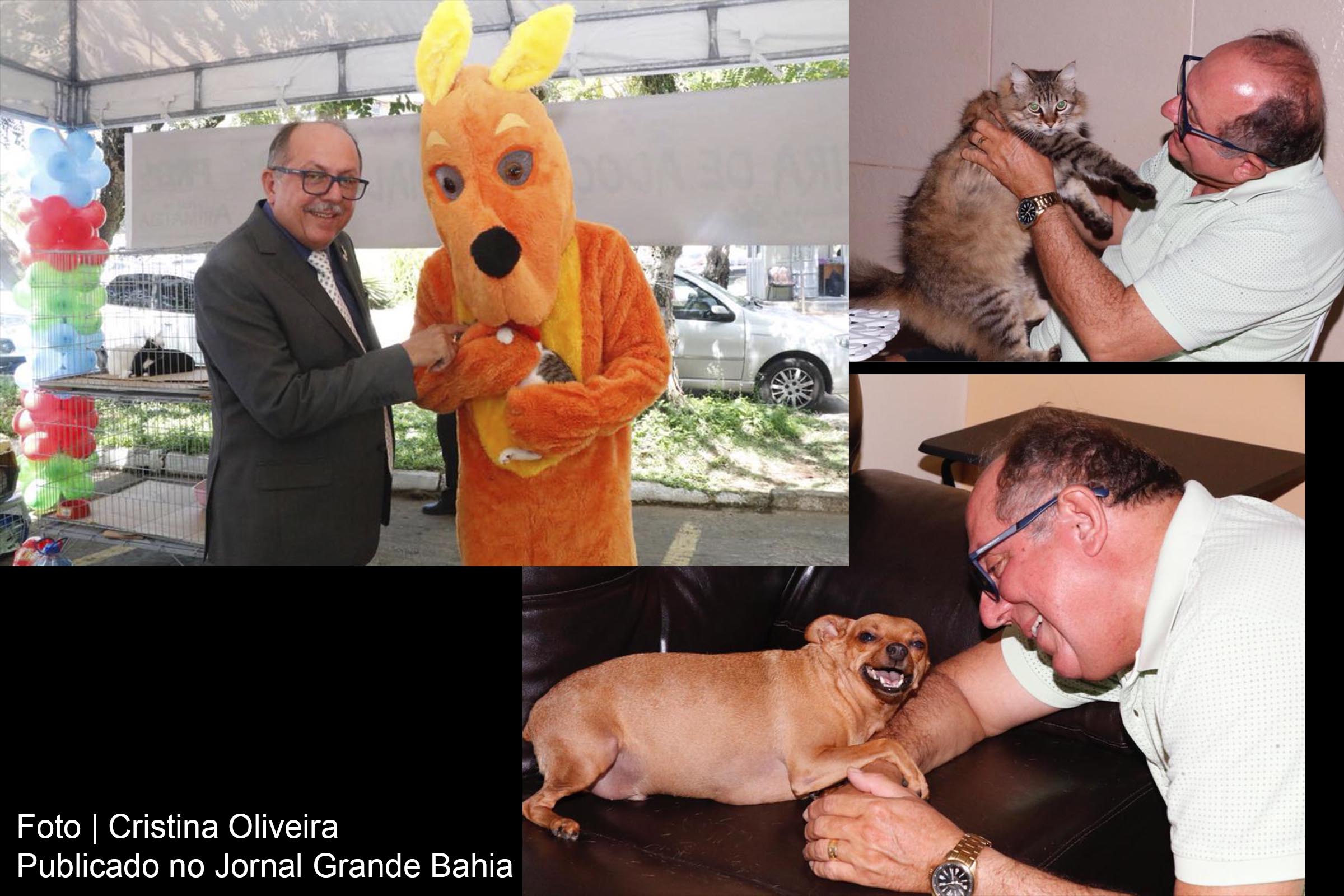 Deputado José de Arimateia trabalha em defesa dos Direitos dos Animais.
